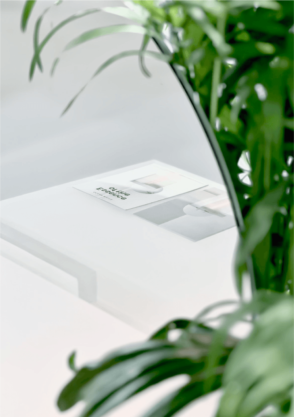 Second White，Ocean White，graphic design ，Exhibition design，