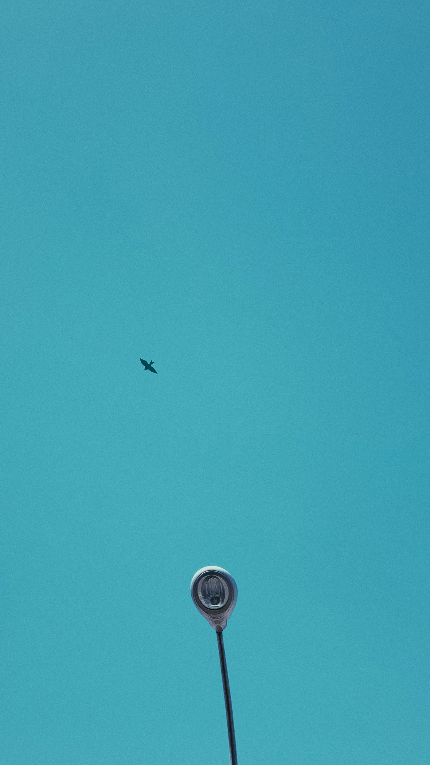 STERNA，Club，golf club，Sports equipment，