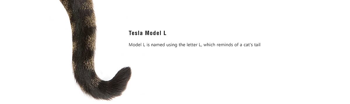 ESLA - Model L，创意，宠物用品，工业设计，特斯拉，