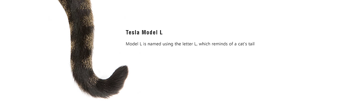 ESLA - Model L，originality，Pet Supplies & Pet，industrial design，Tesla，