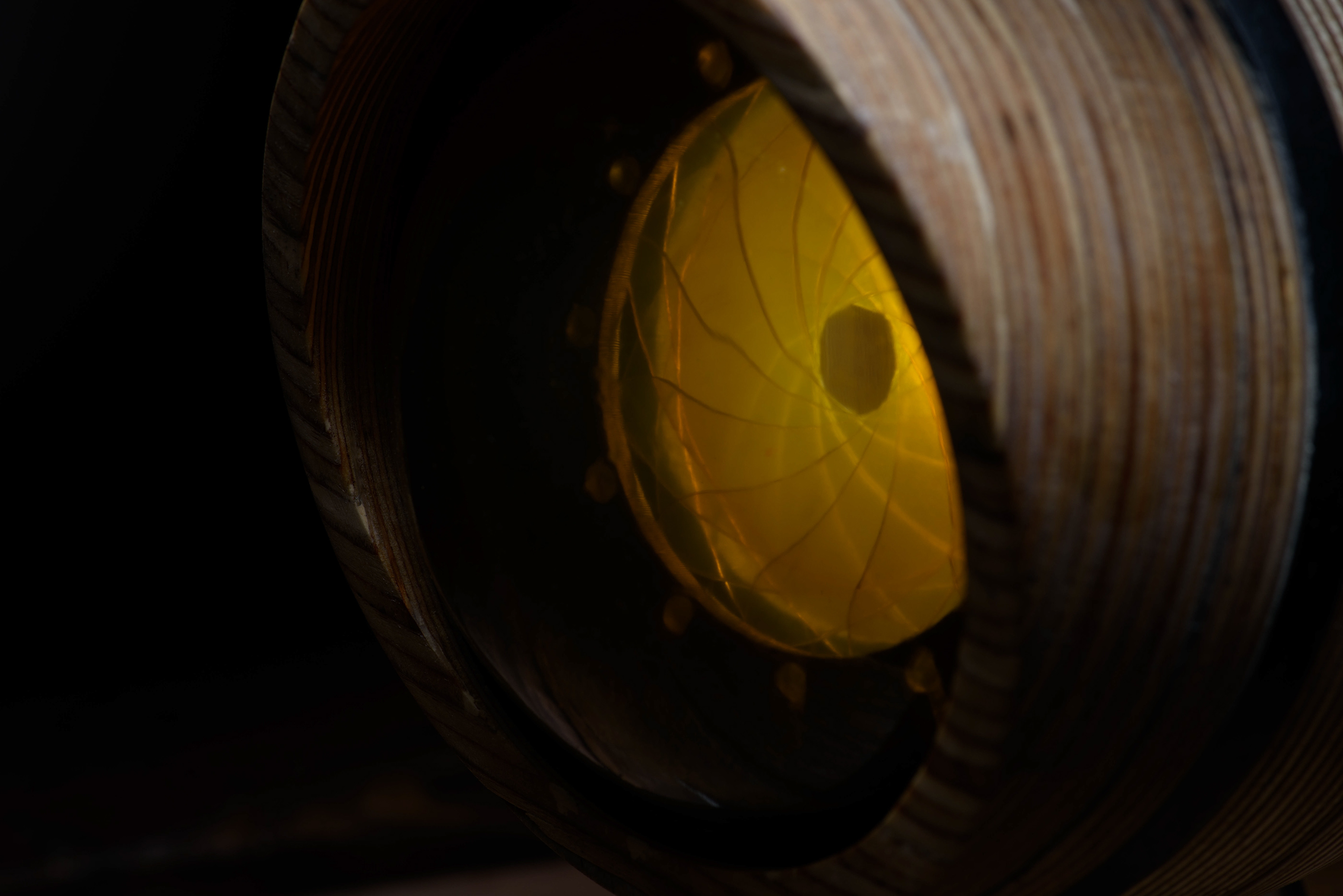 Iris，lamps and lanterns，Warm light，product design，