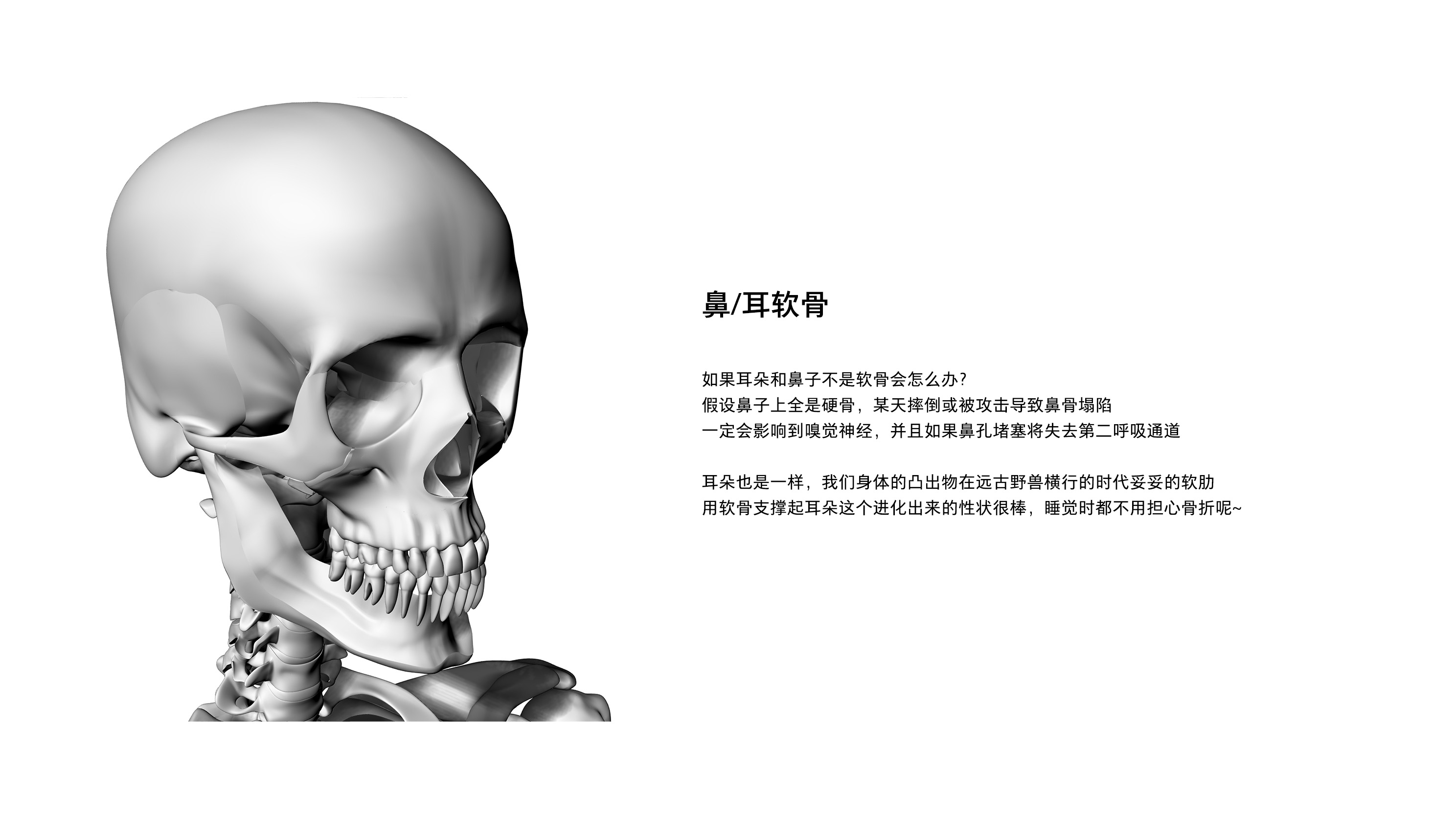 White space, white space in a broad sense, design white space，