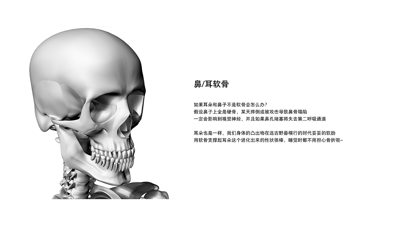 White space, white space in a broad sense, design white space，
