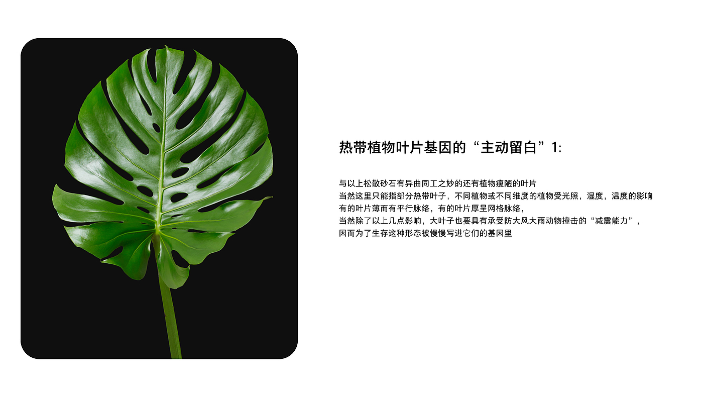 White space, white space in a broad sense, design white space，