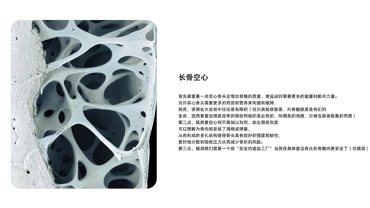 White space, white space in a broad sense, design white space，