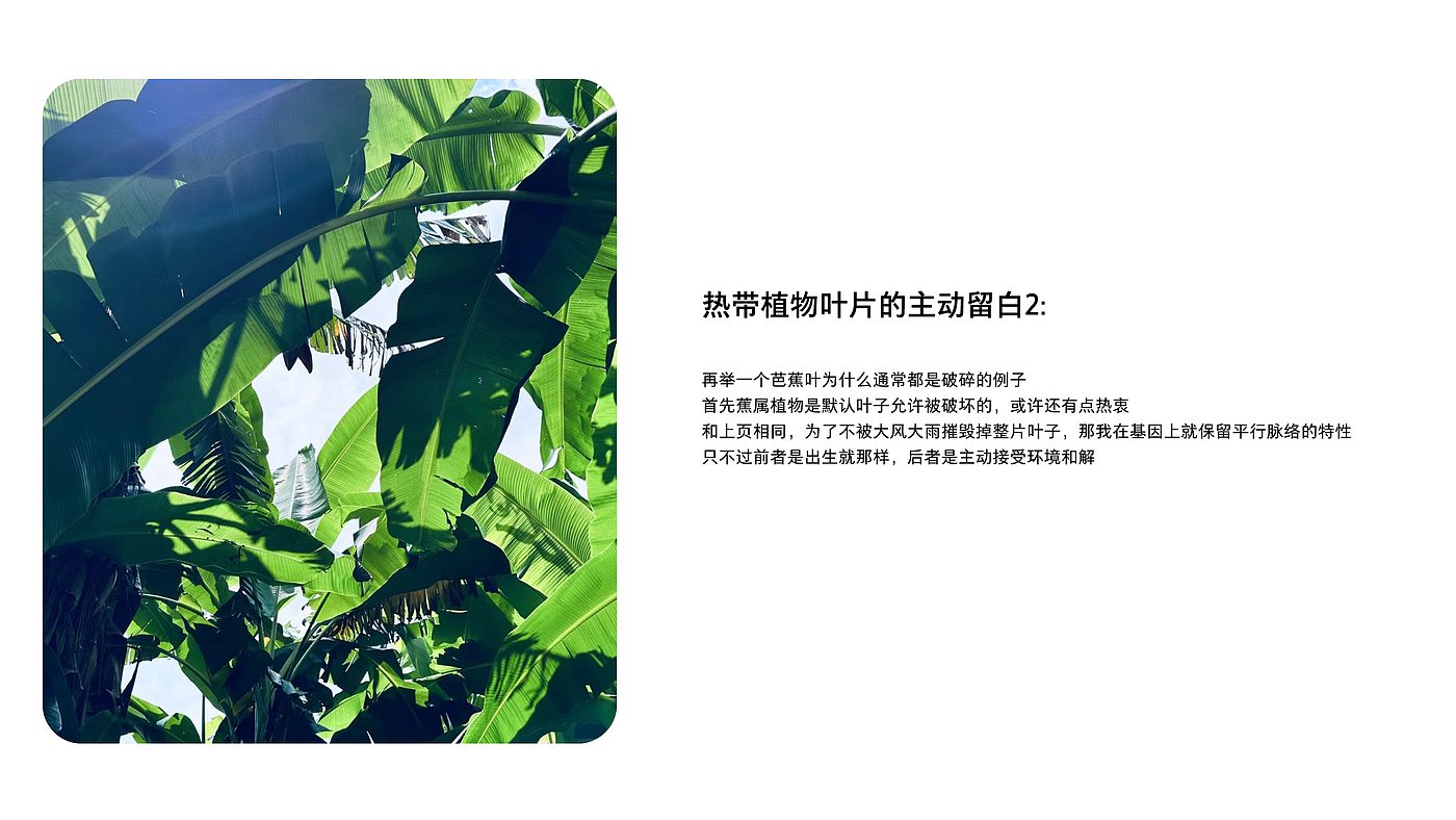 White space, white space in a broad sense, design white space，