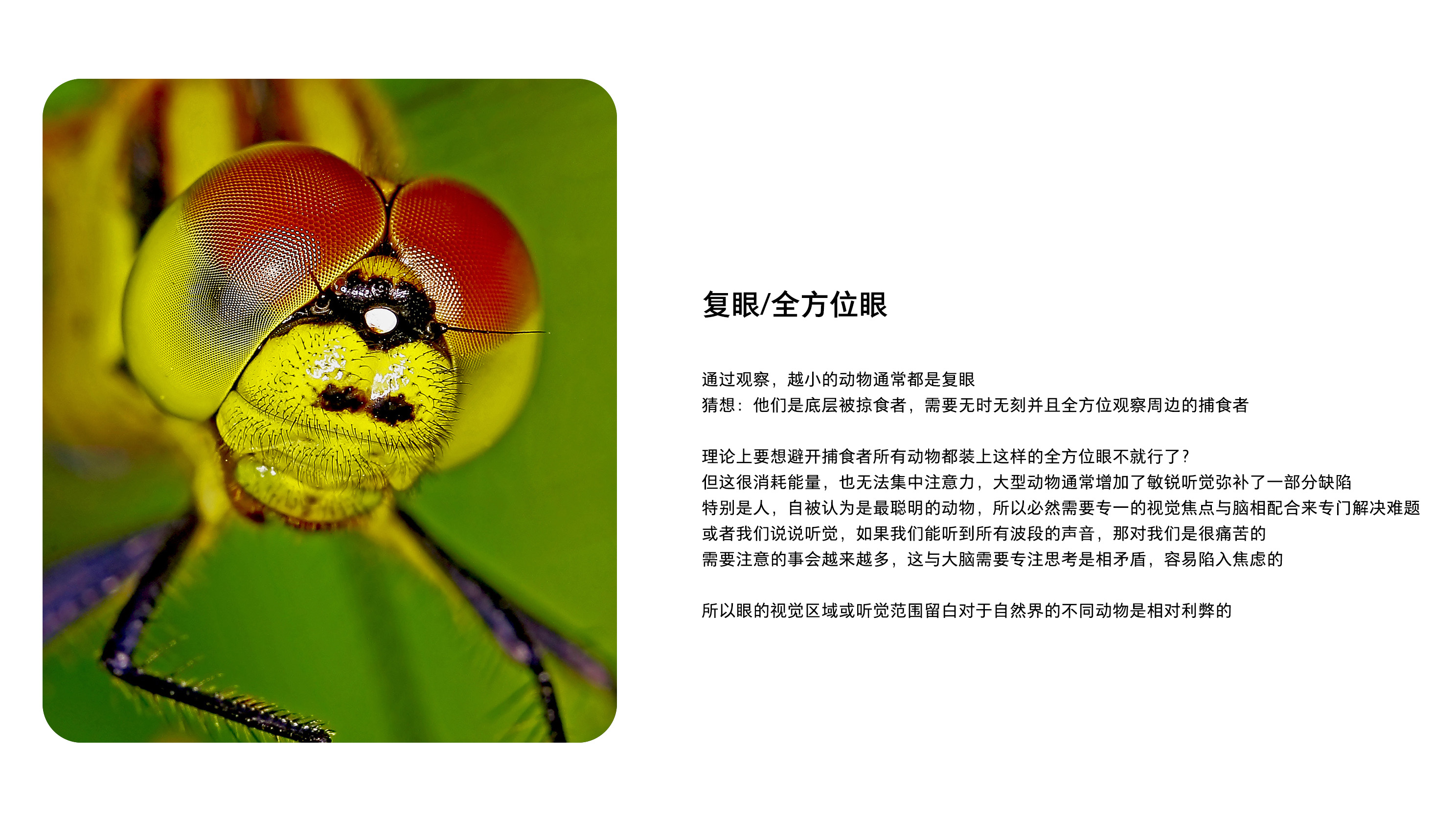 White space, white space in a broad sense, design white space，