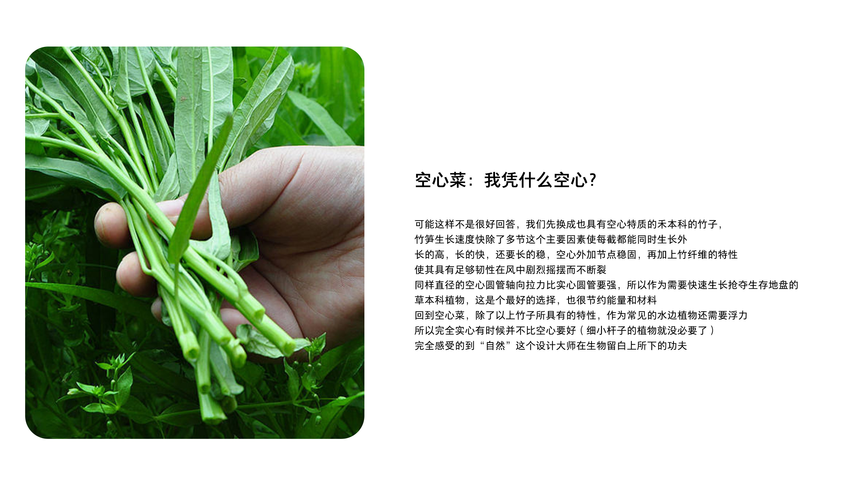 White space, white space in a broad sense, design white space，