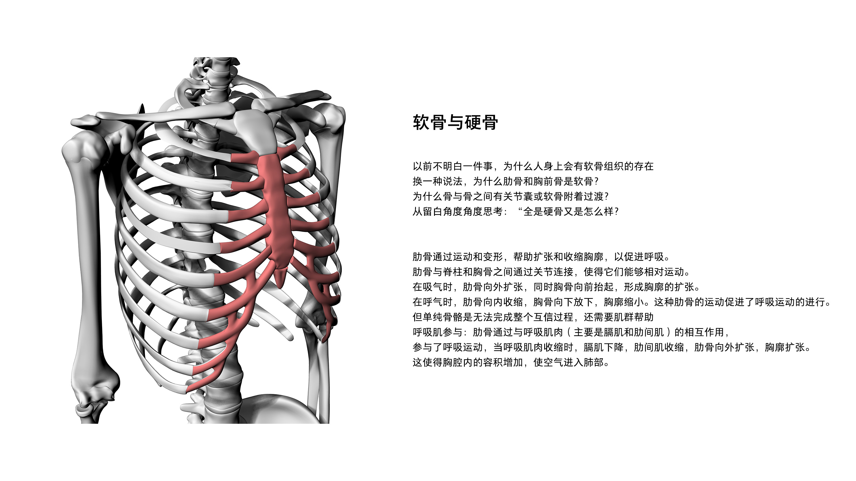 White space, white space in a broad sense, design white space，