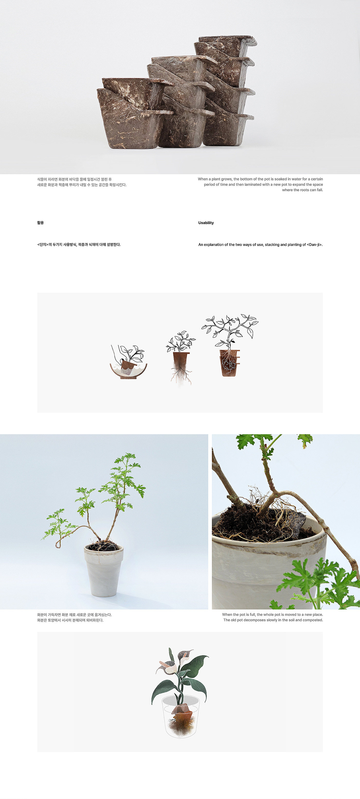 Flowerpot，stone，repotting，plant，