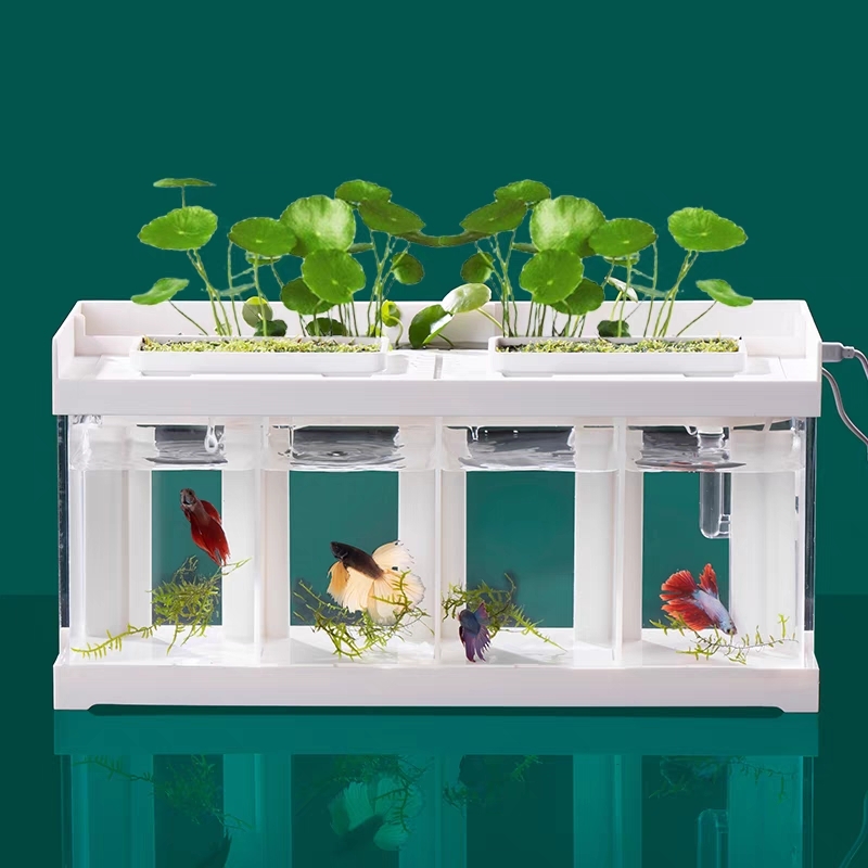 Dou Fish，small fish tank，Special cylinder，desktop，natural circulating water，No water change，Fish tank design，