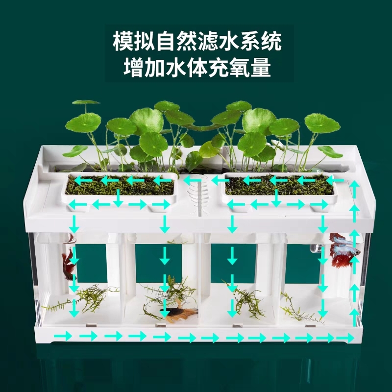 Dou Fish，small fish tank，Special cylinder，desktop，natural circulating water，No water change，Fish tank design，