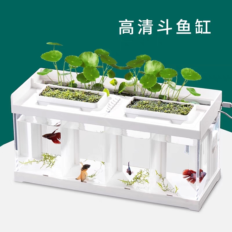 Dou Fish，small fish tank，Special cylinder，desktop，natural circulating water，No water change，Fish tank design，