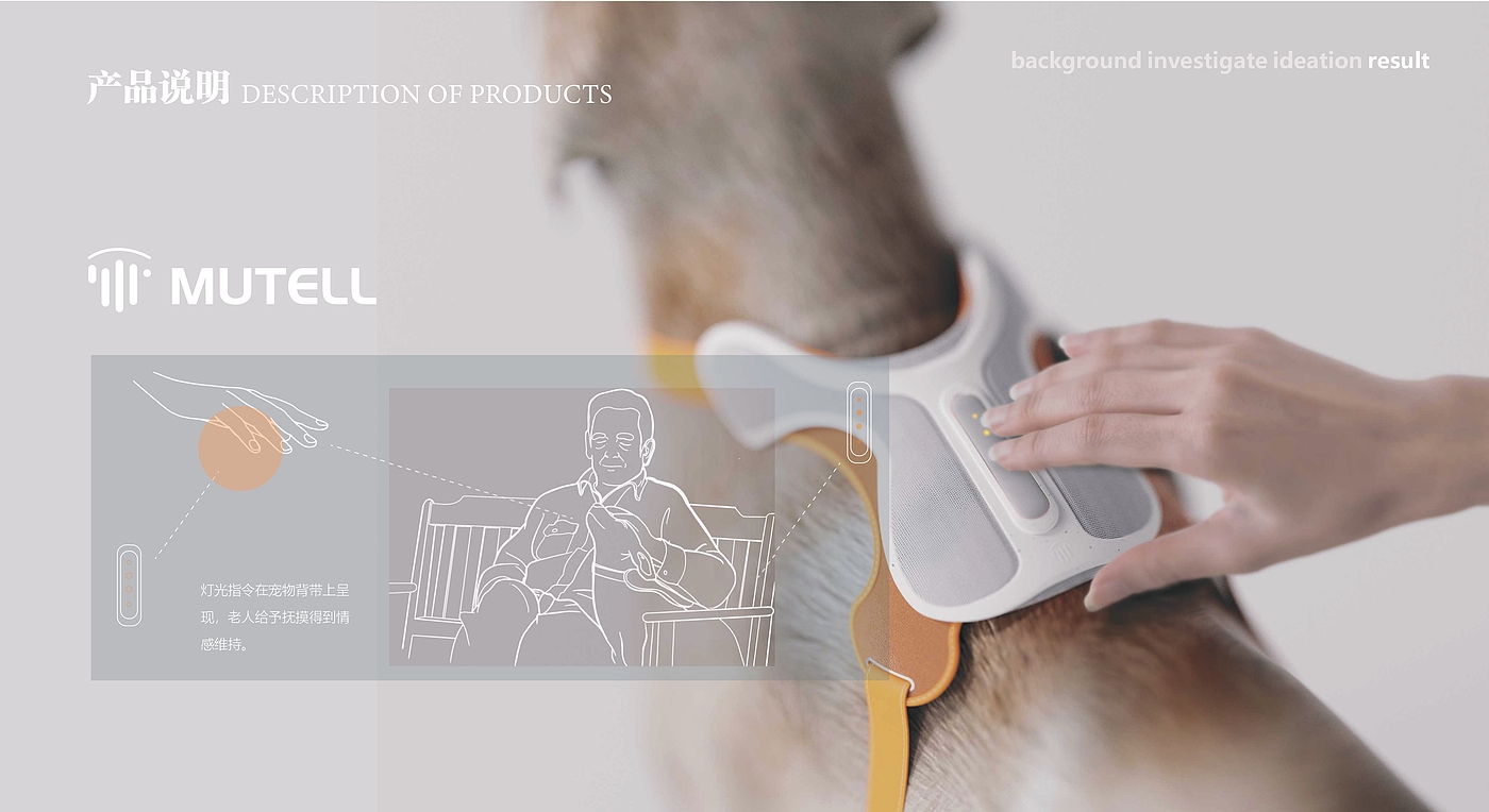 Empty nest elderly，Pets，intelligence，product design，industrial design，Interaction design，emotion，Workshop，