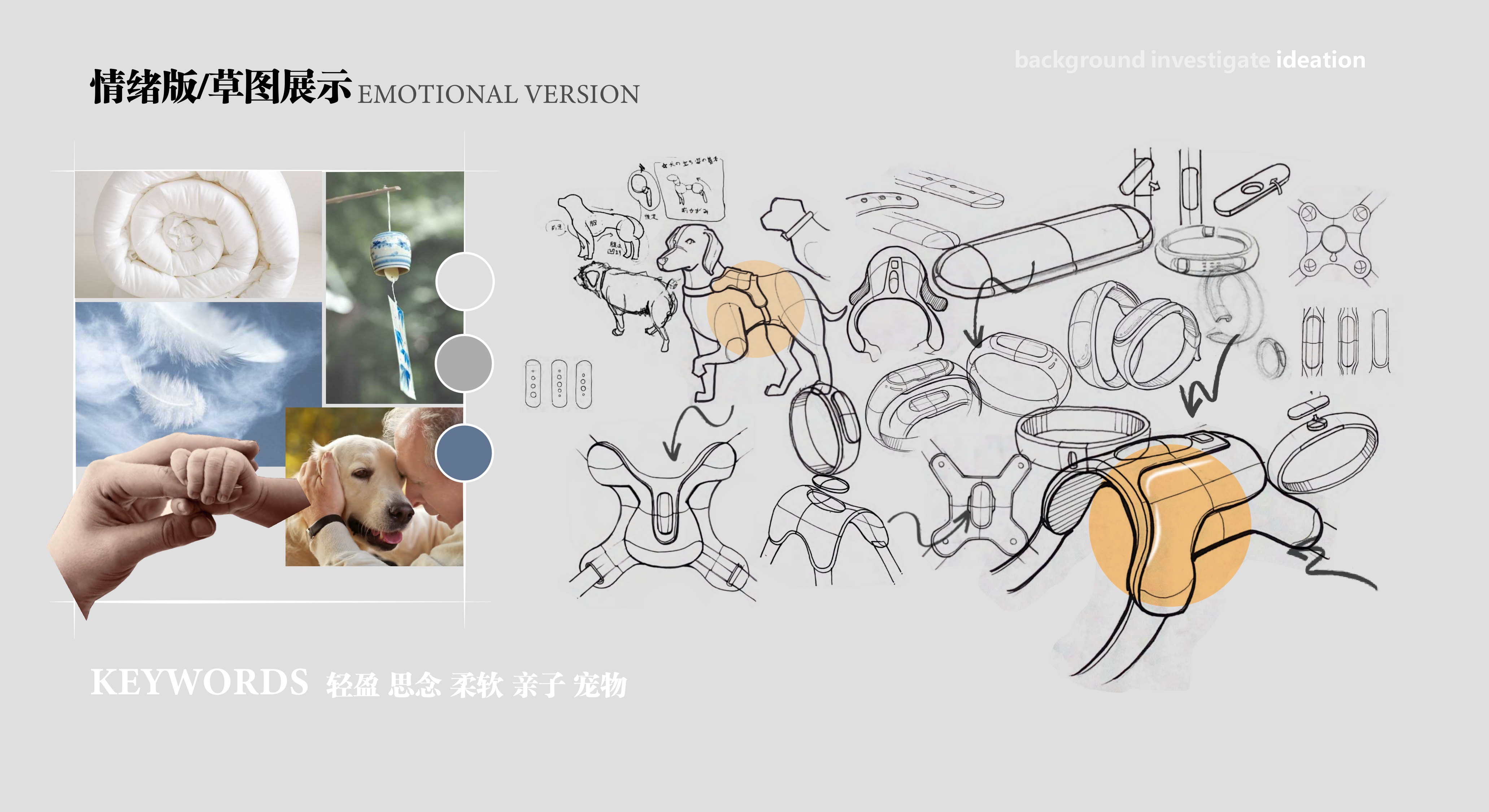 Empty nest elderly，Pets，intelligence，product design，industrial design，Interaction design，emotion，Workshop，