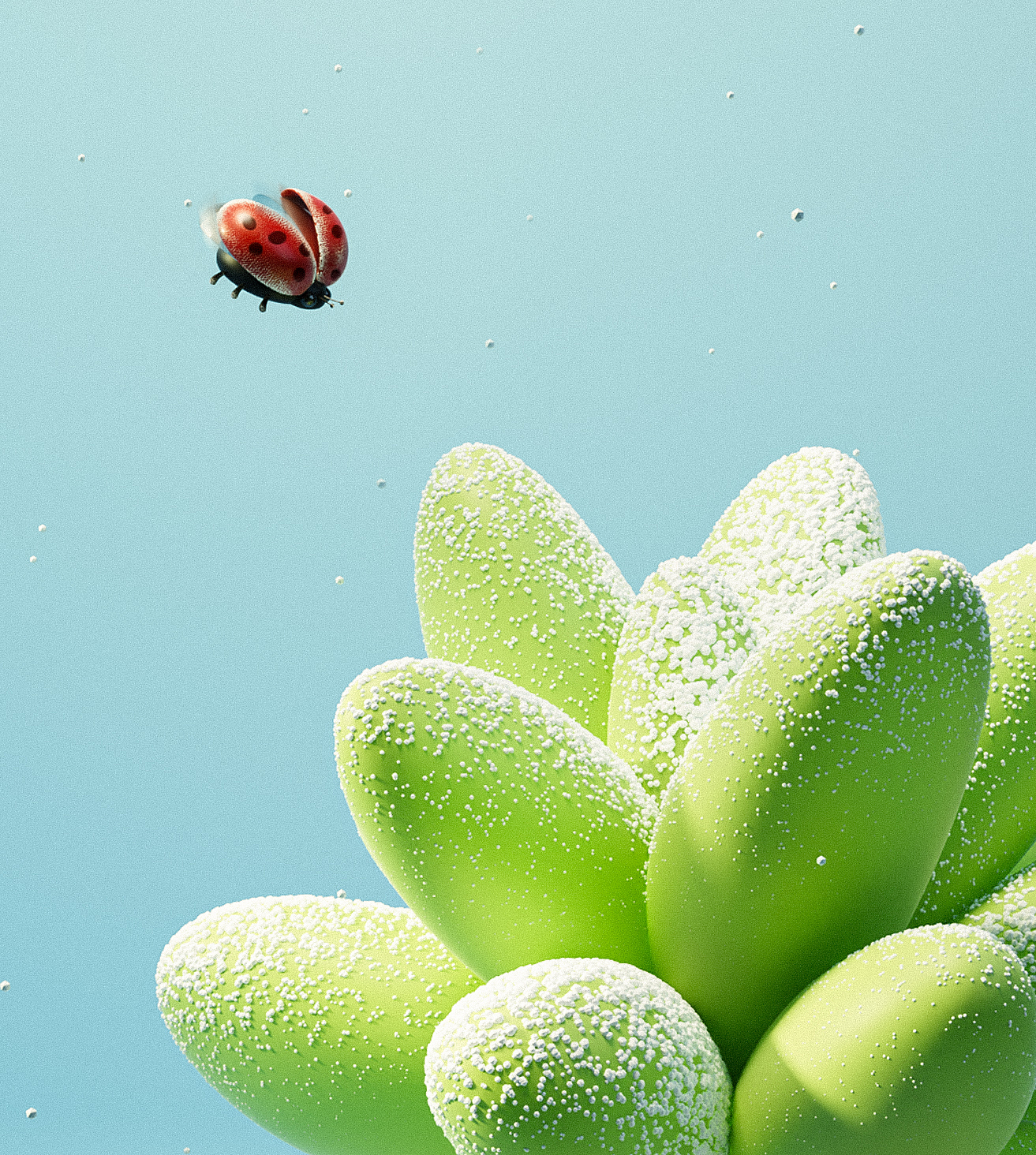 atmosphere，scene，insect，Fleshy，