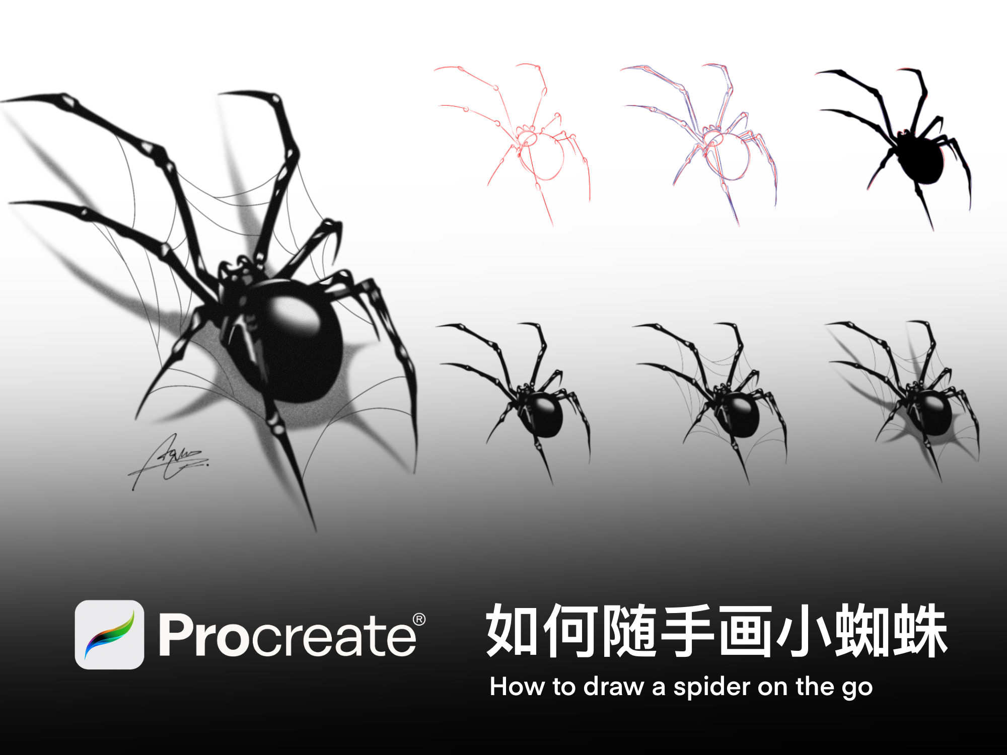 Procreate，Ubee ，