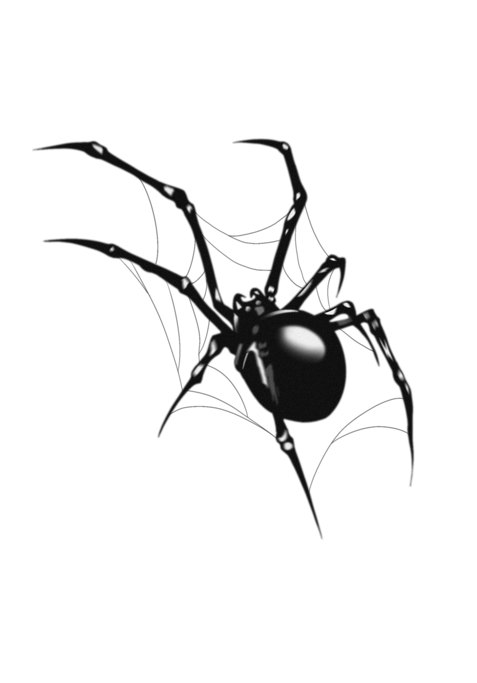 Procreate，Ubee ，