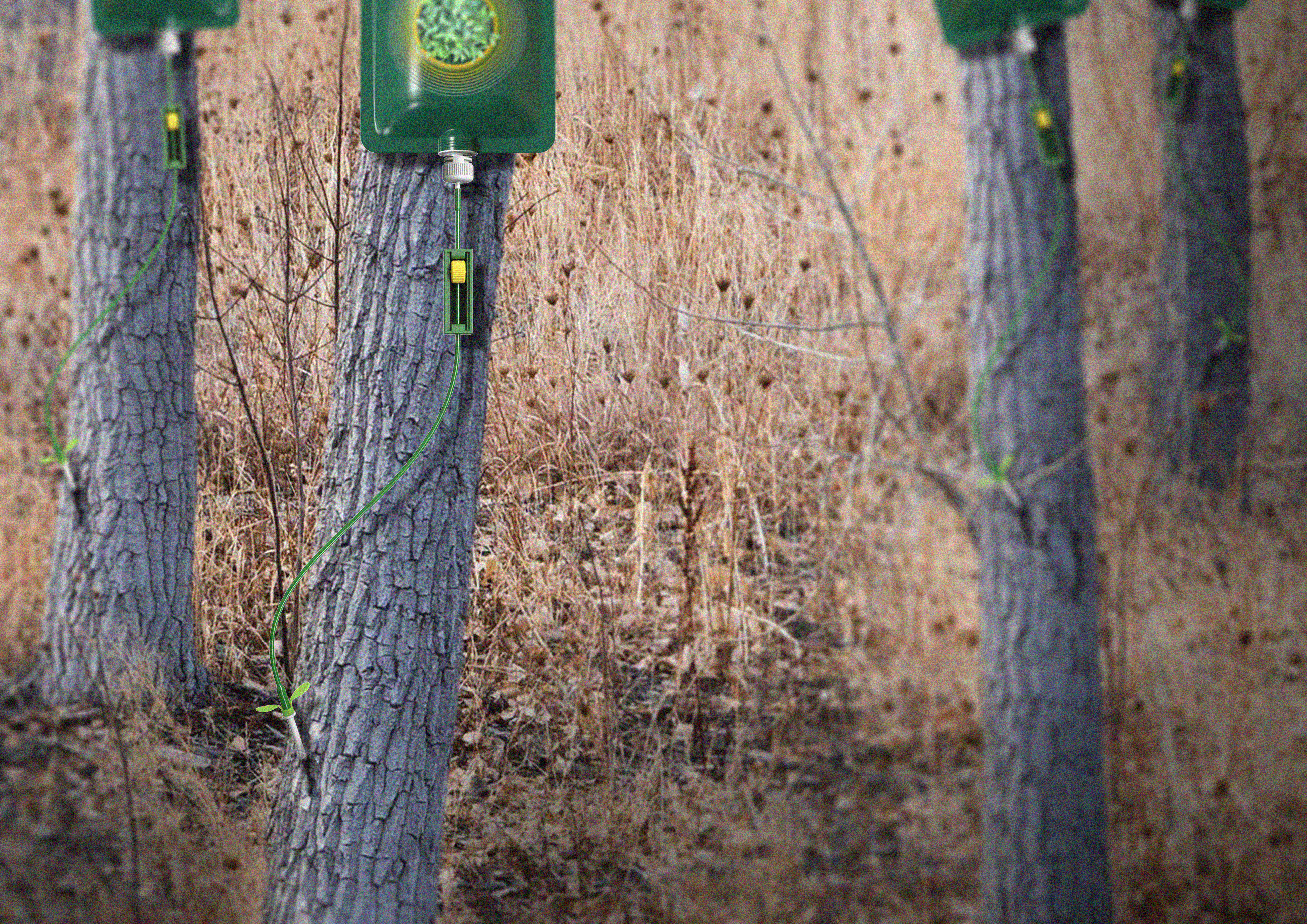The Green Miracle! A young leaf that gives the tree hope of life，Infusion bag，nutrient solution，Visual feedback，Small accessories，has sprouted，