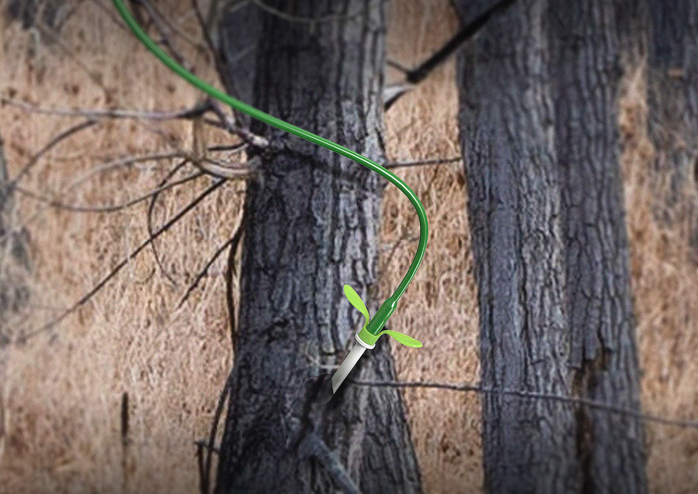 The Green Miracle! A young leaf that gives the tree hope of life，Infusion bag，nutrient solution，Visual feedback，Small accessories，has sprouted，