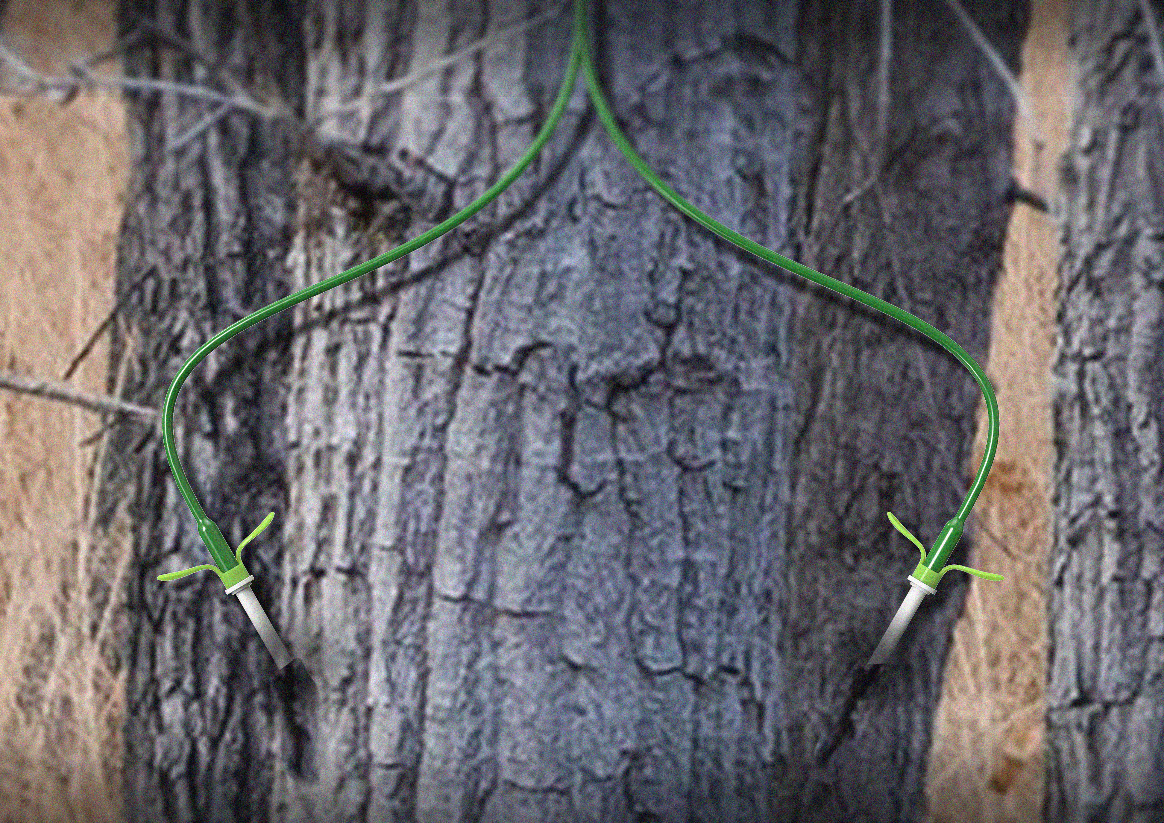 The Green Miracle! A young leaf that gives the tree hope of life，Infusion bag，nutrient solution，Visual feedback，Small accessories，has sprouted，