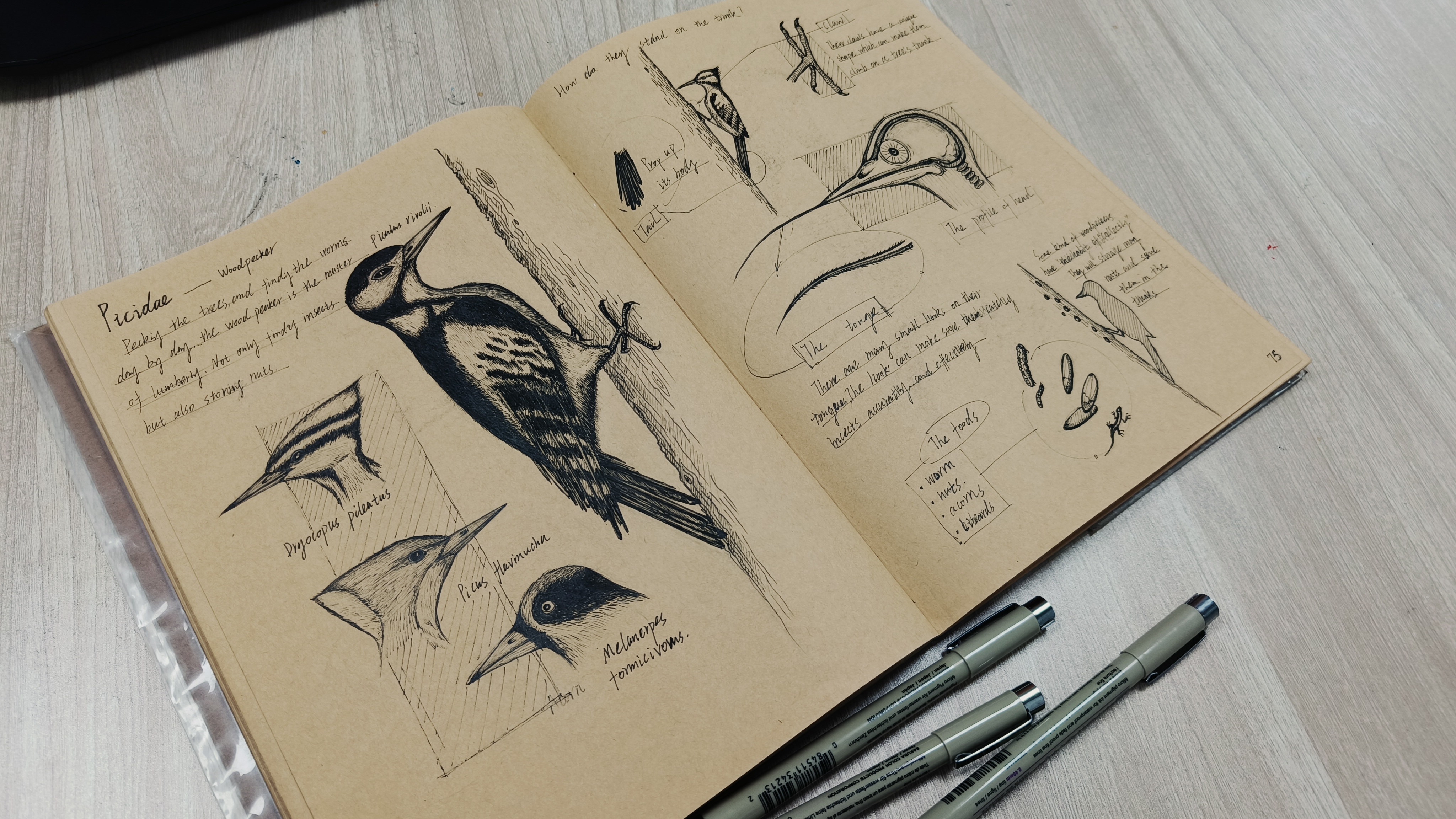 Hand painted works，