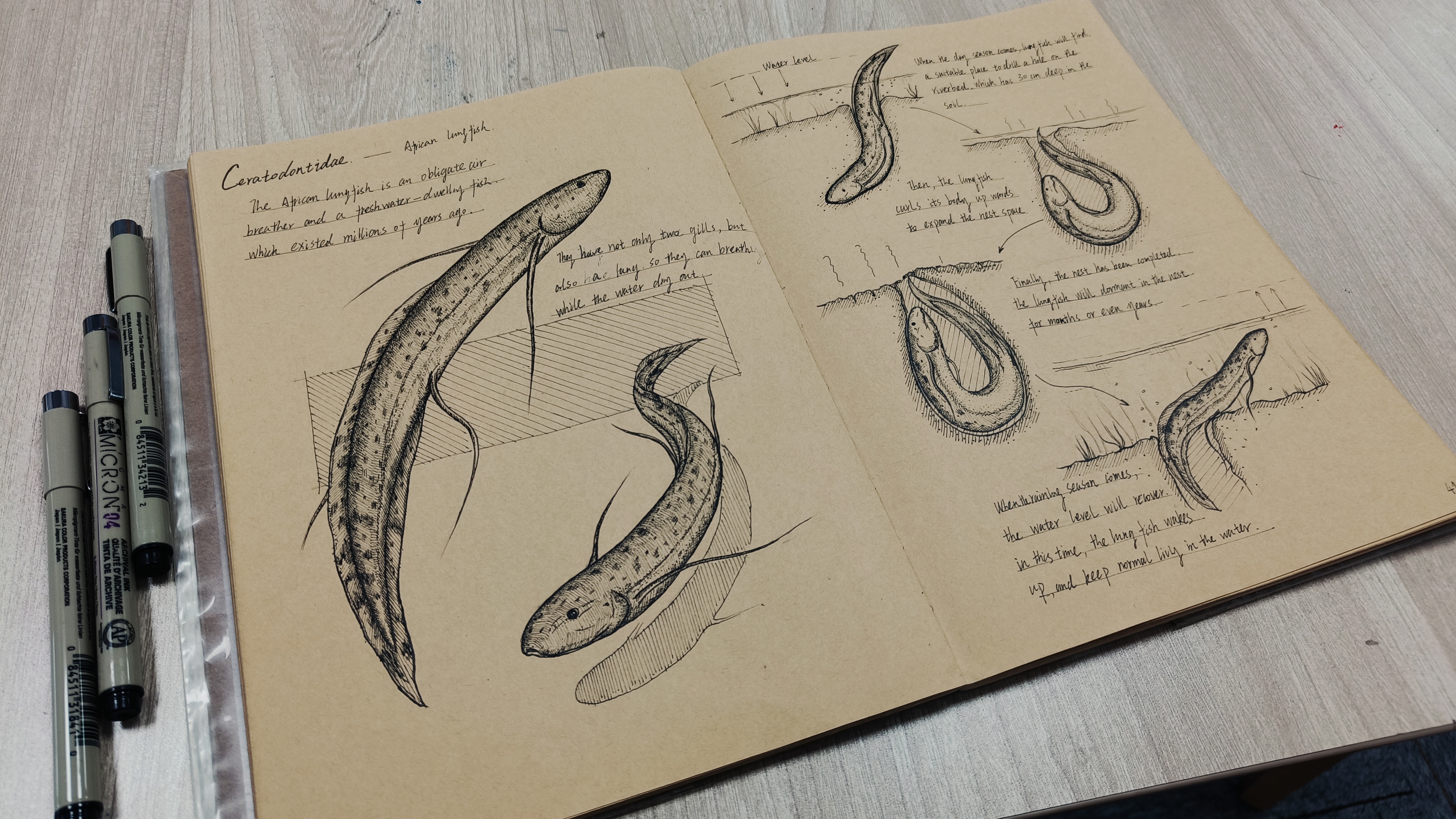 Hand painted works，