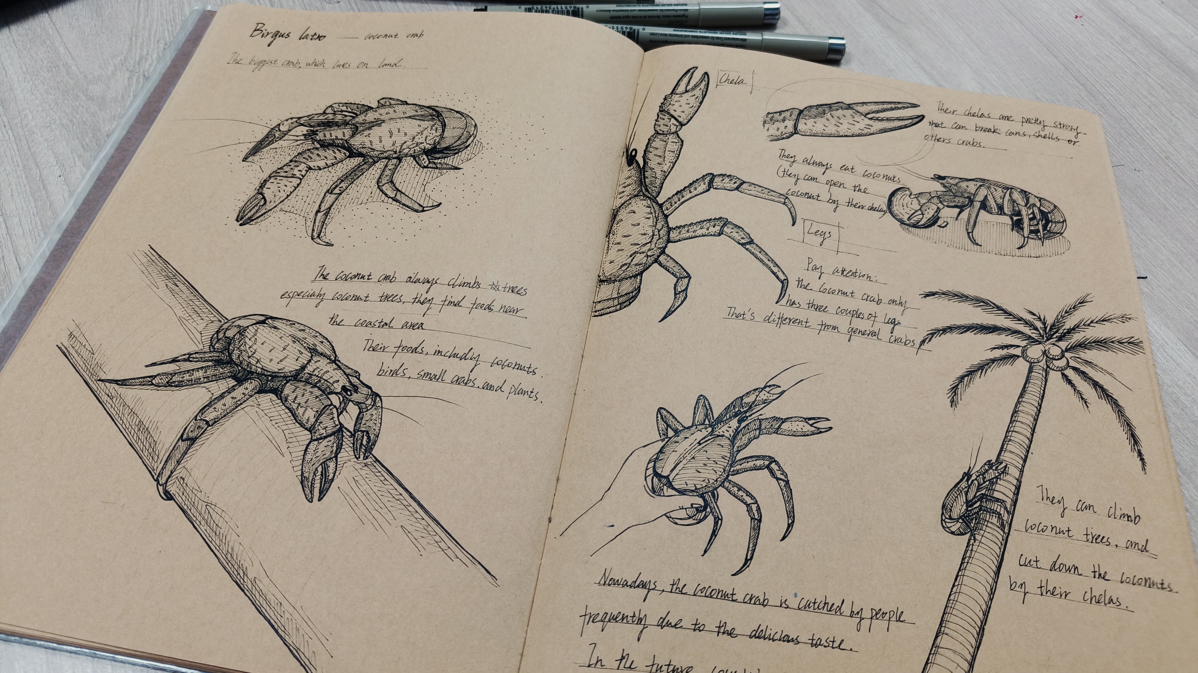 Hand painted works，