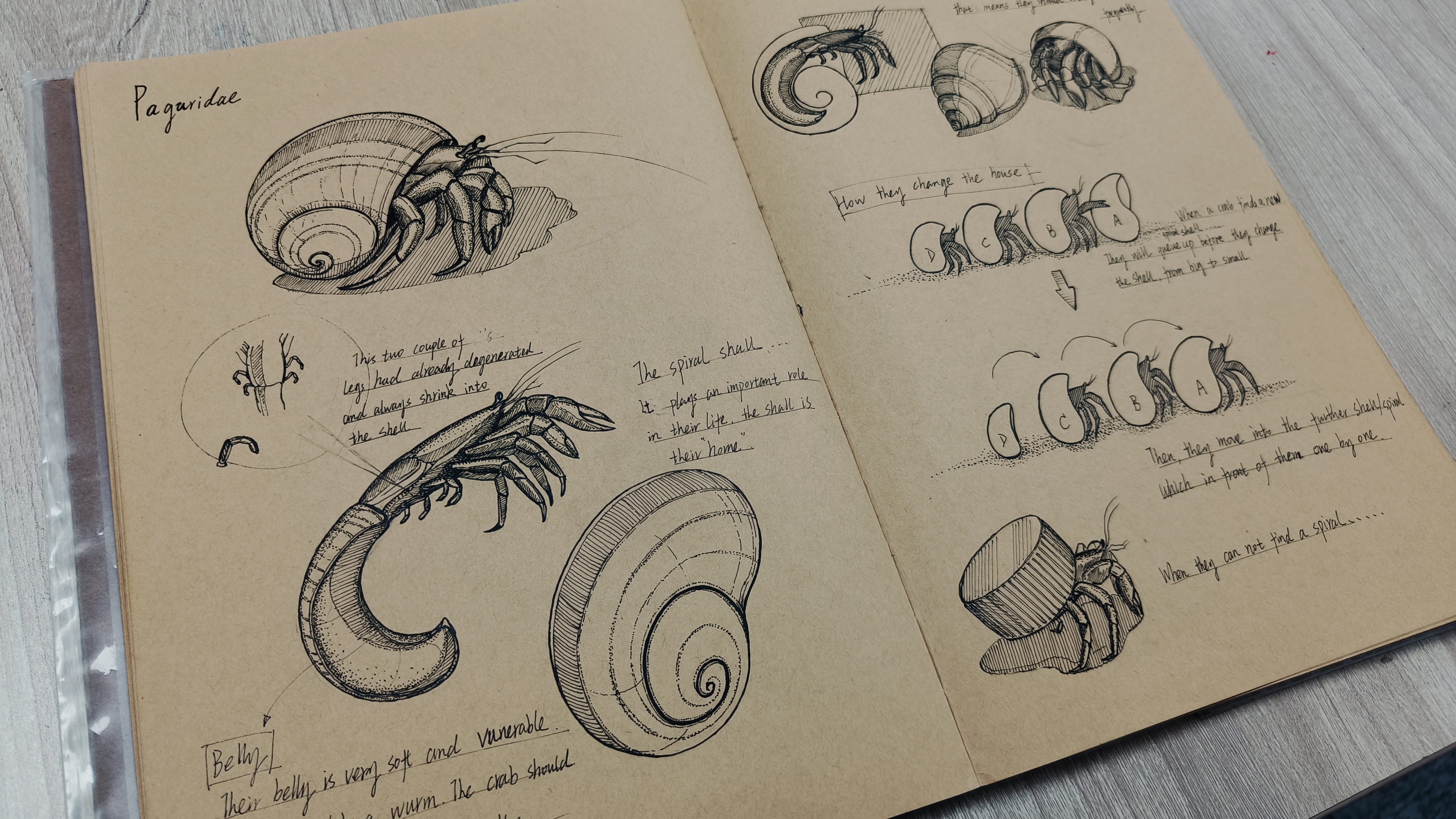 Hand painted works，