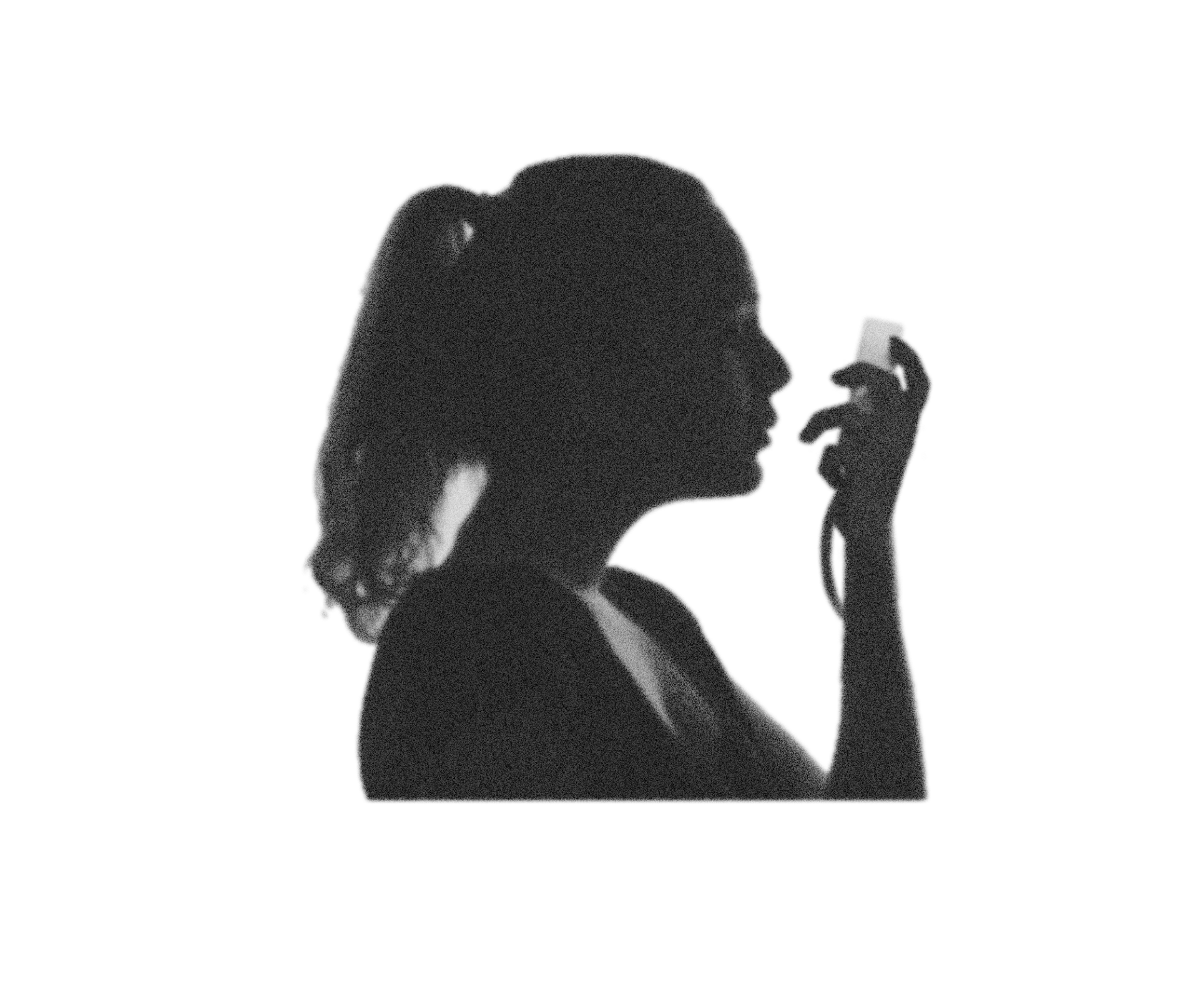 hononi，Digital Heritage，inherit，service，