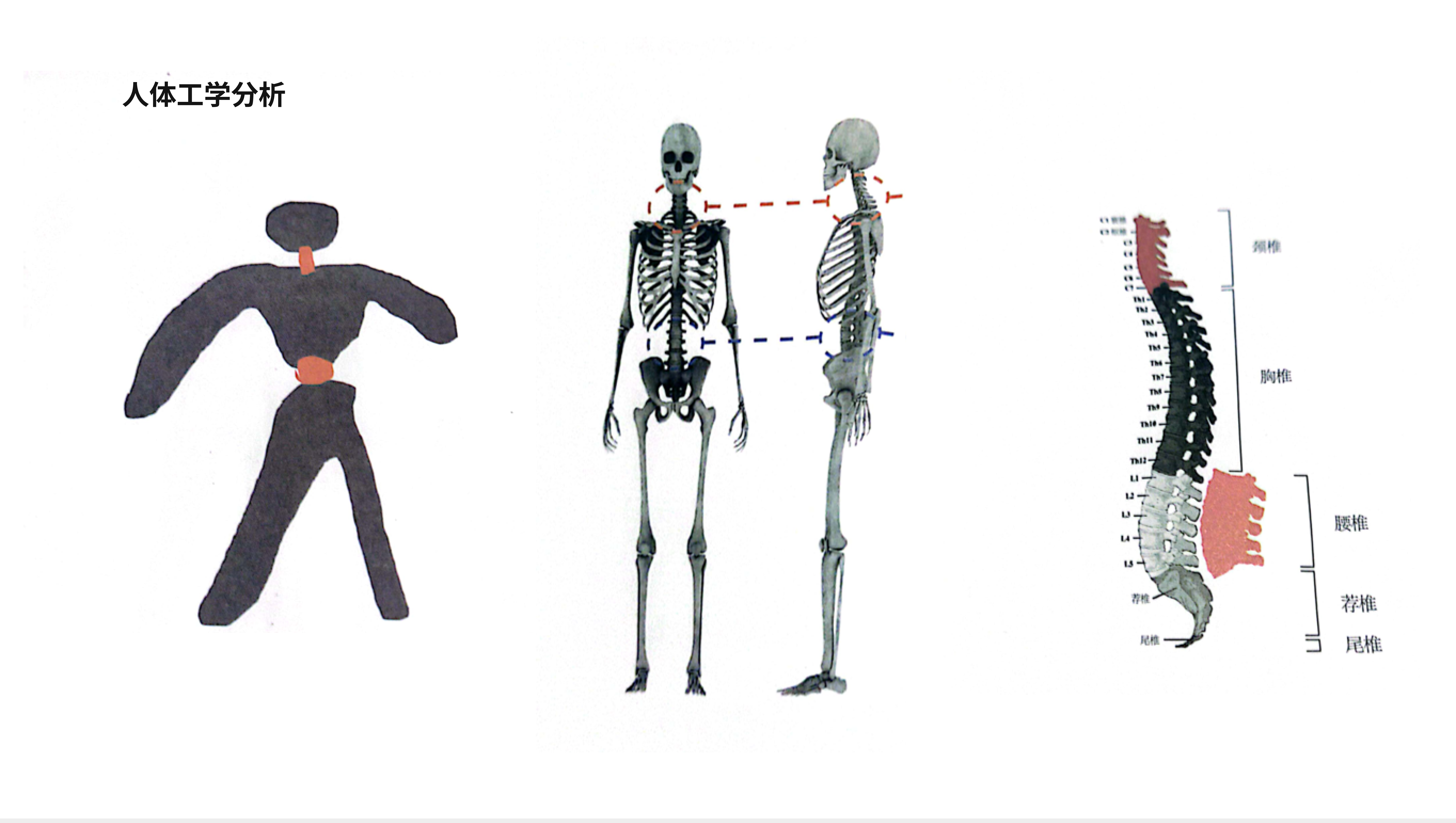 Office chair，ergonomic chair，intelligence，Graduation project，Office furniture ，