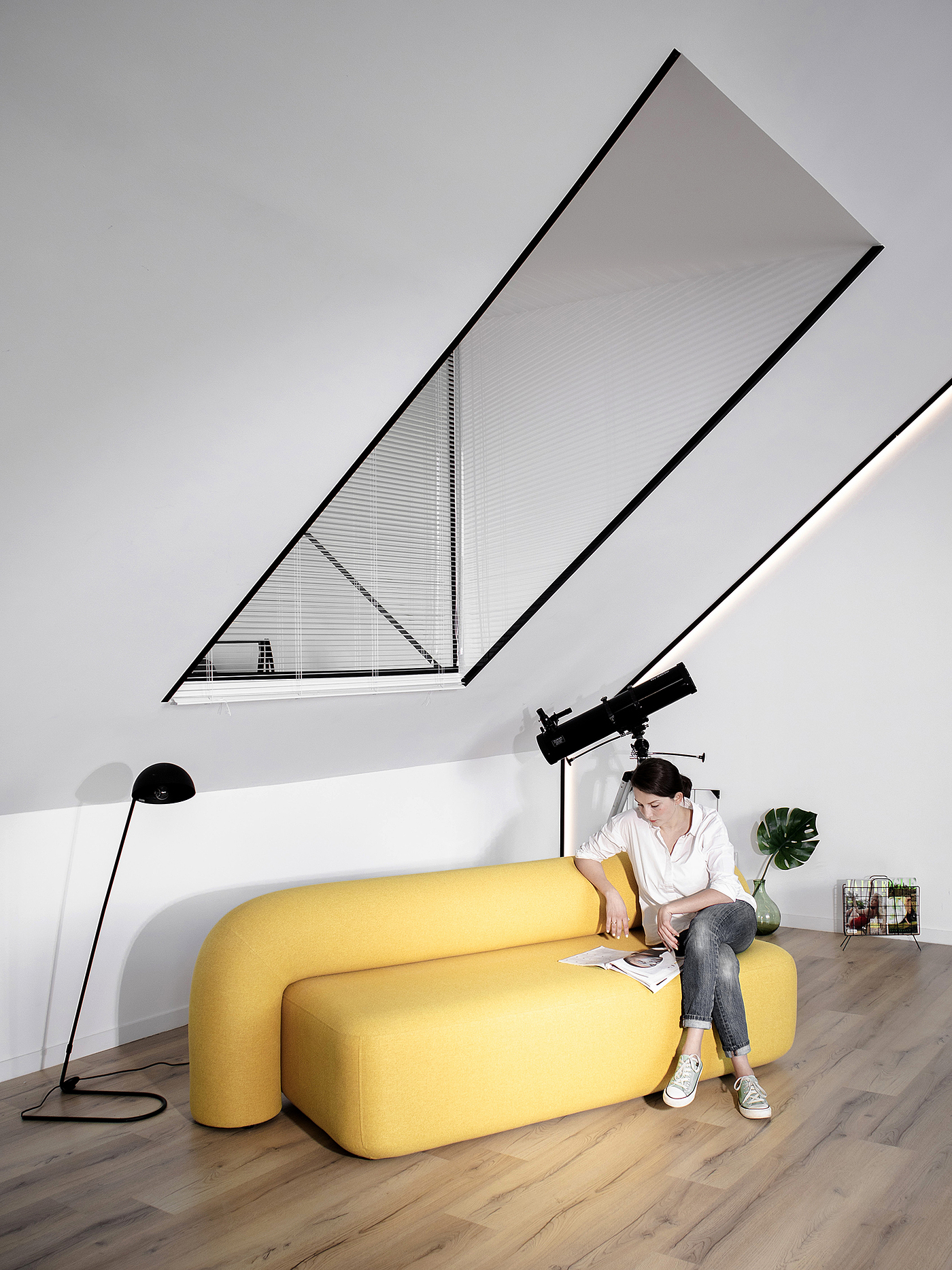 Moss，sofa，