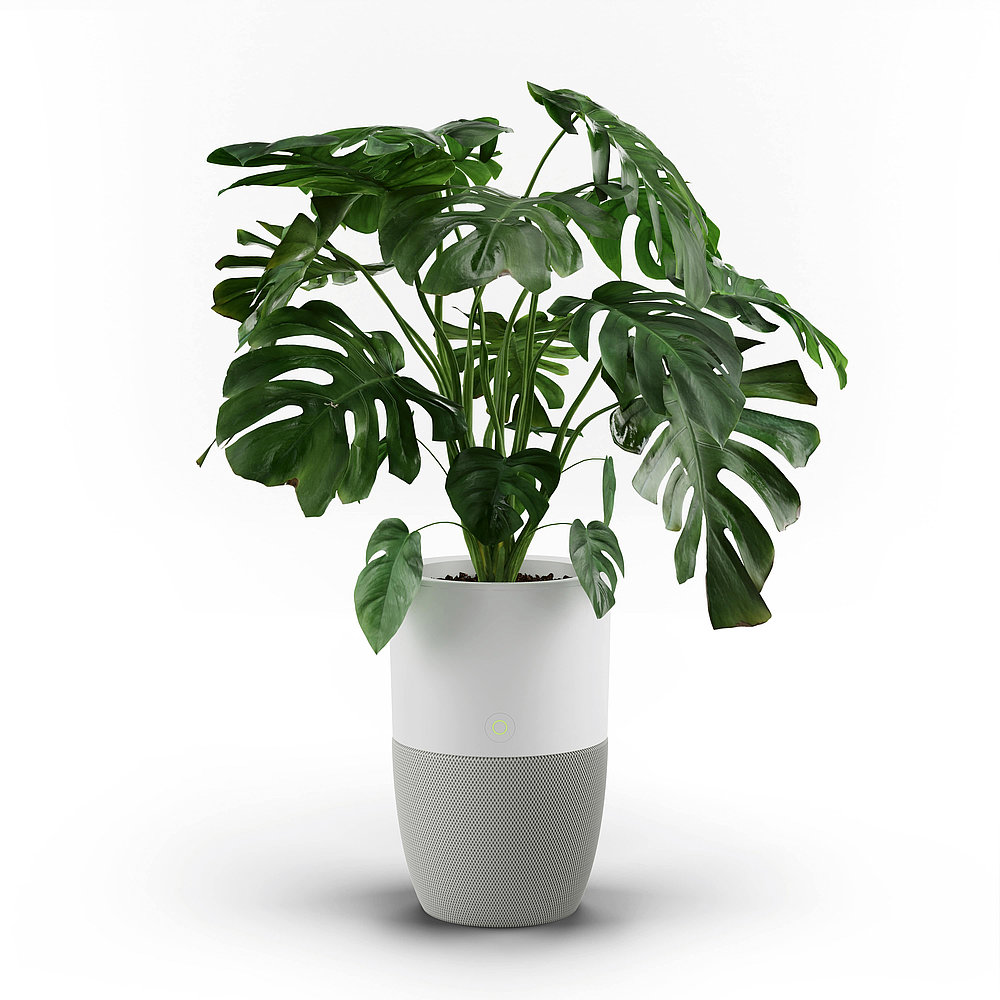 2023 Red Dot Product Design Award，Household Electric Appliances，air cleaner，