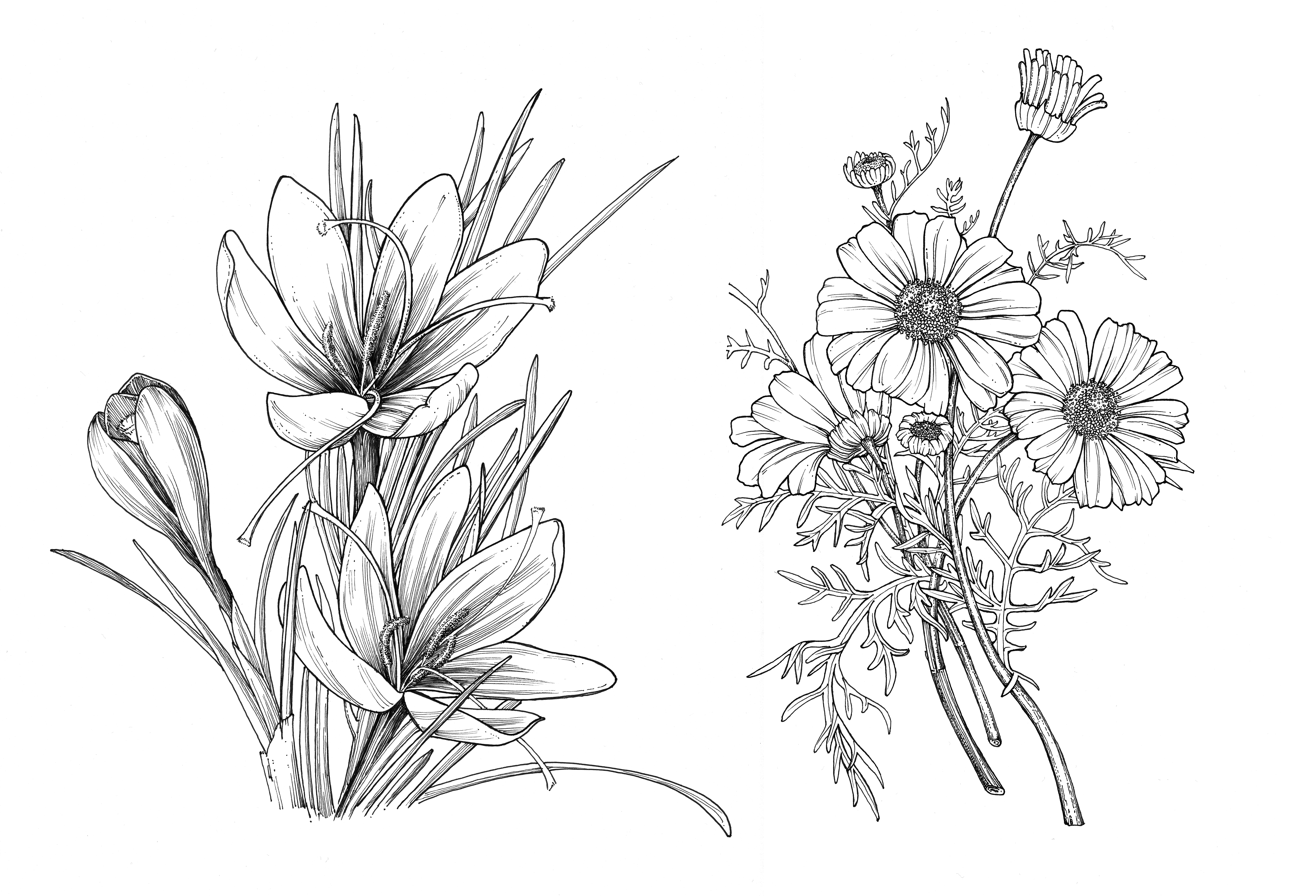 designer，product design，industrial design，Start a business，