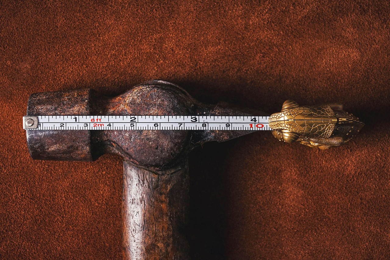 chameleon，Natural inspiration，product design，Tape measure，