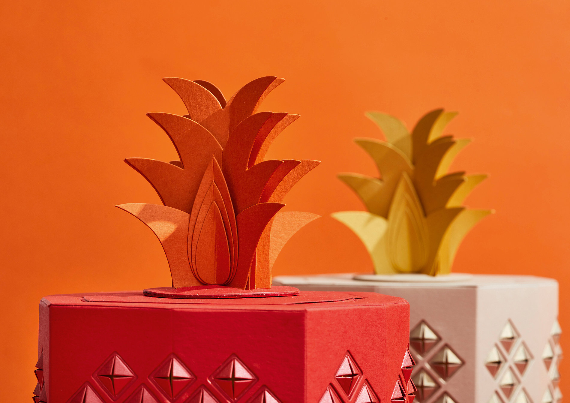 2023 Red Dot Product Design Award，MATERIALS AND PACKAGING，Gift Wrapping，