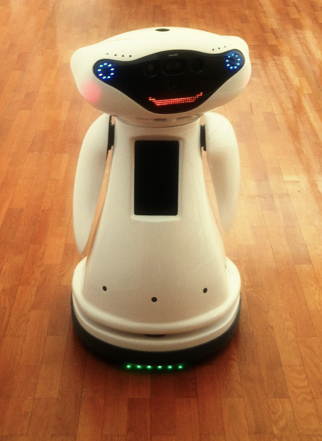 robot，social contact，MOnarCH，interaction，