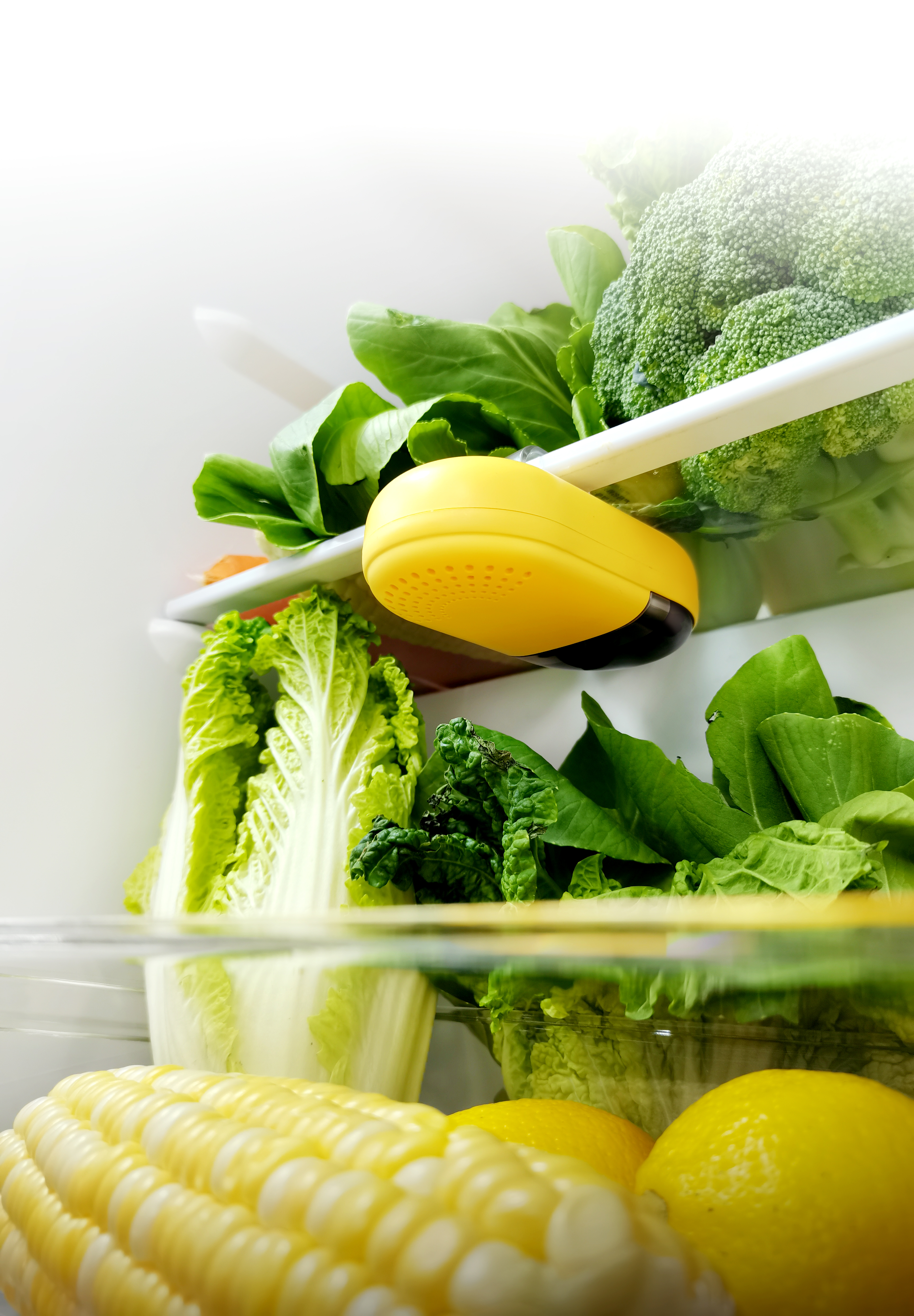 Refrigerator Deodorizer Wardrobe Deodorizer，Refrigerator deodorization sterilizer dual mode, strong sterilization;，Refrigerator deodorization sterilizer dual mode, strong sterilization;，Refrigerator deodorization sterilizer, dual mode, strong sterilization，