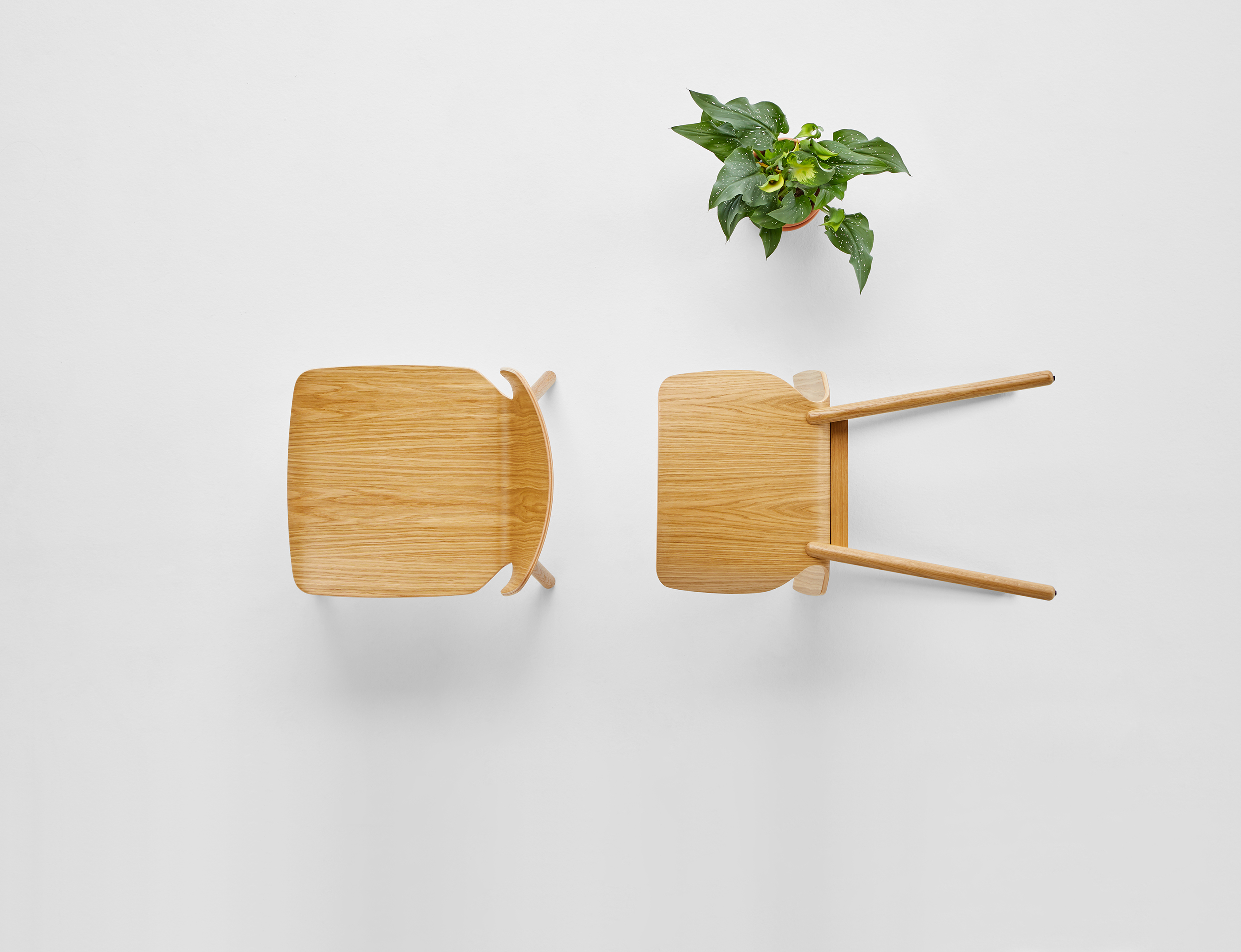 NIM chair，chair，product design，woodiness，