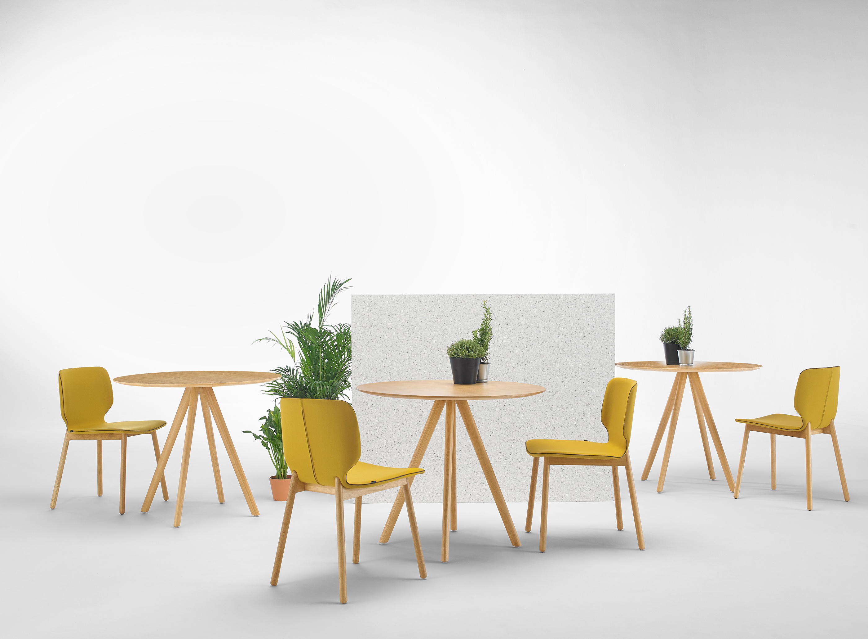 NIM chair，chair，product design，woodiness，
