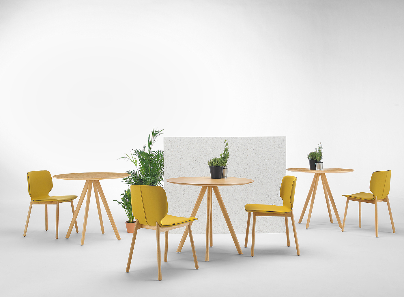 NIM chair，chair，product design，woodiness，