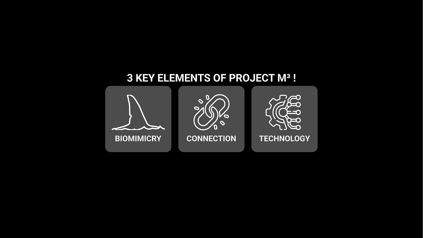 PROJECT M³，摩托车，仿生学，、骑行，