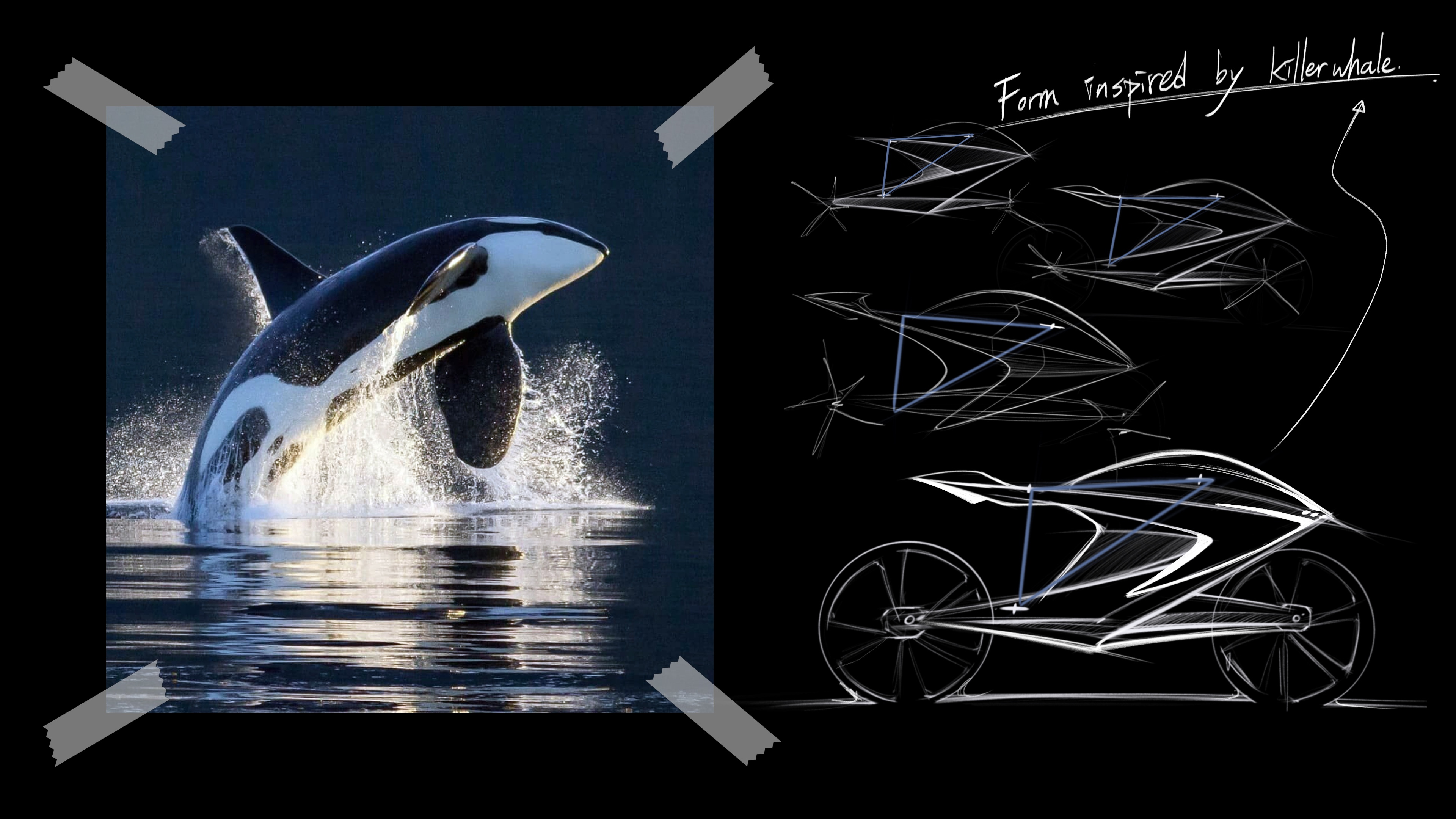 PROJECT M³，motorcycle，bionics，, riding.，