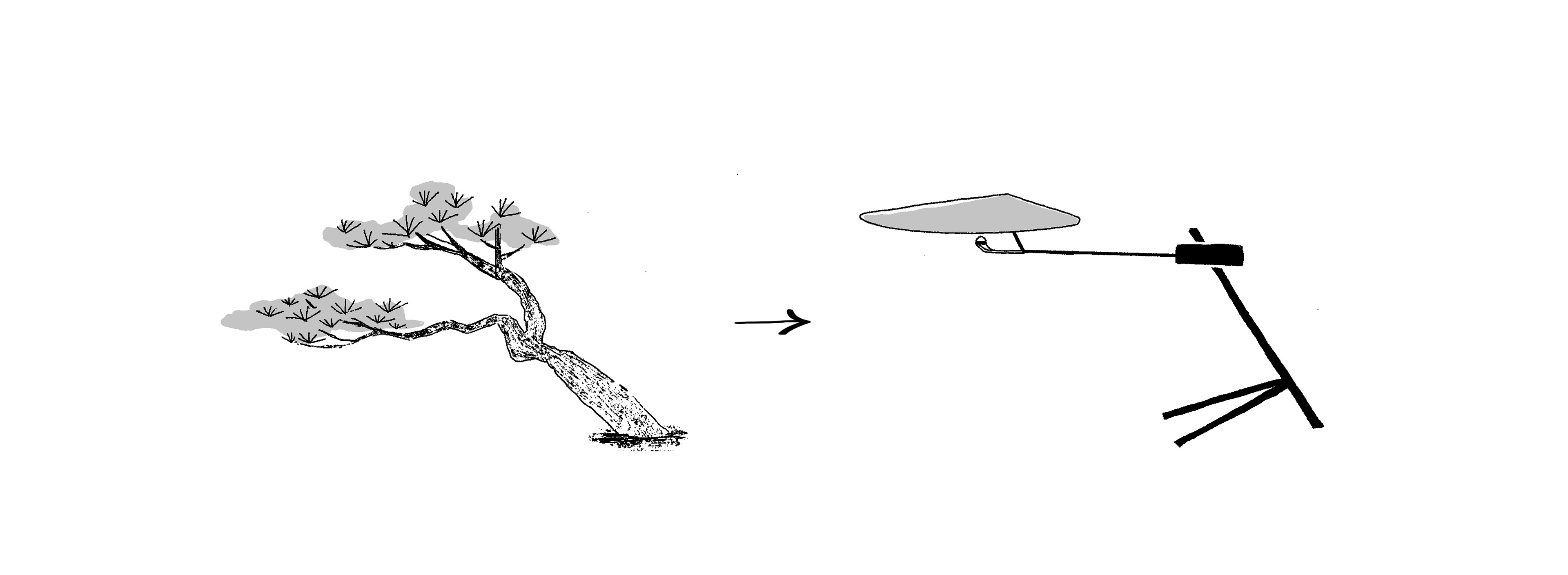 Desk lamp，bonsai，furniture，industrial design，product design，light，