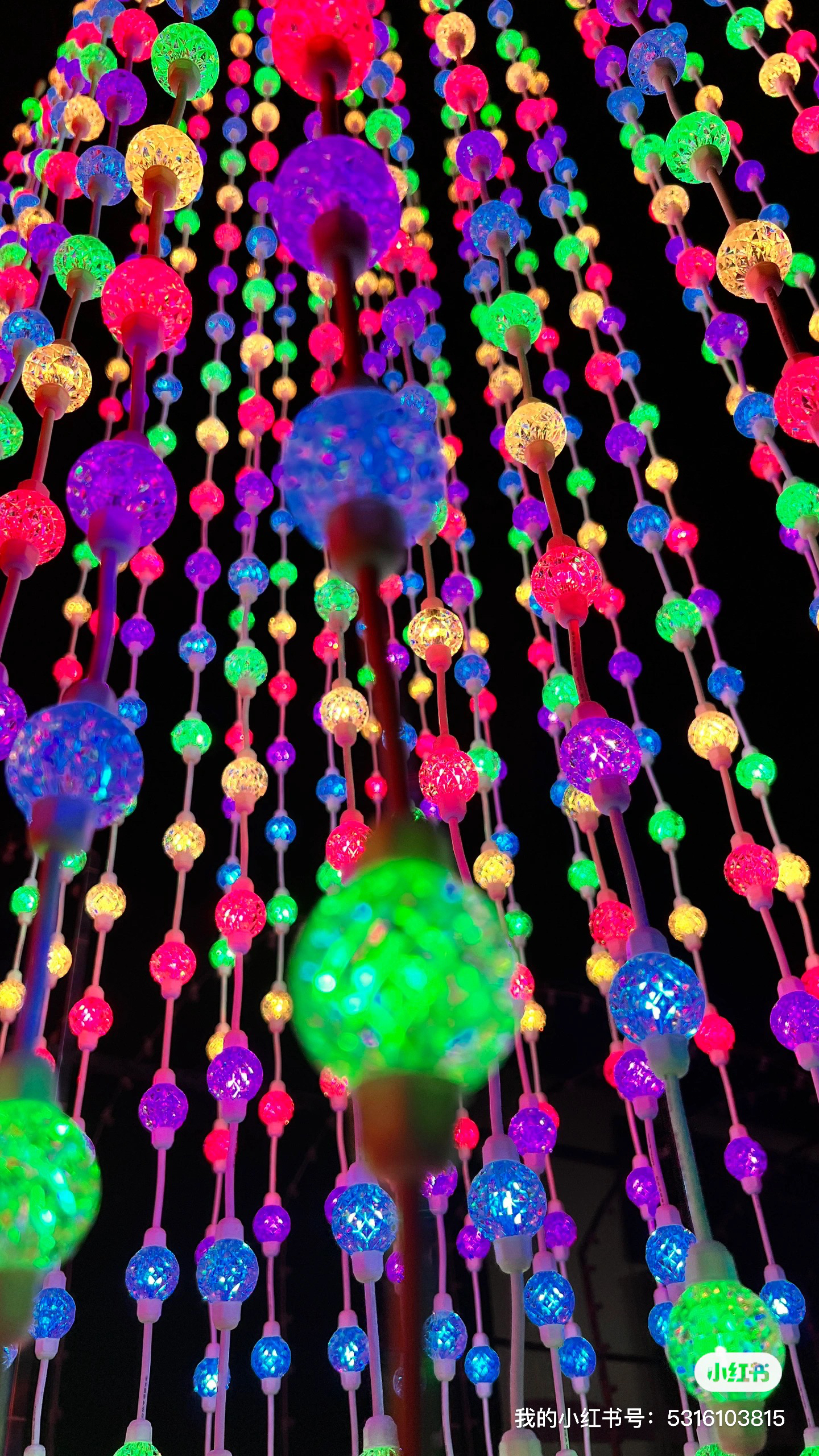 Go camping together，