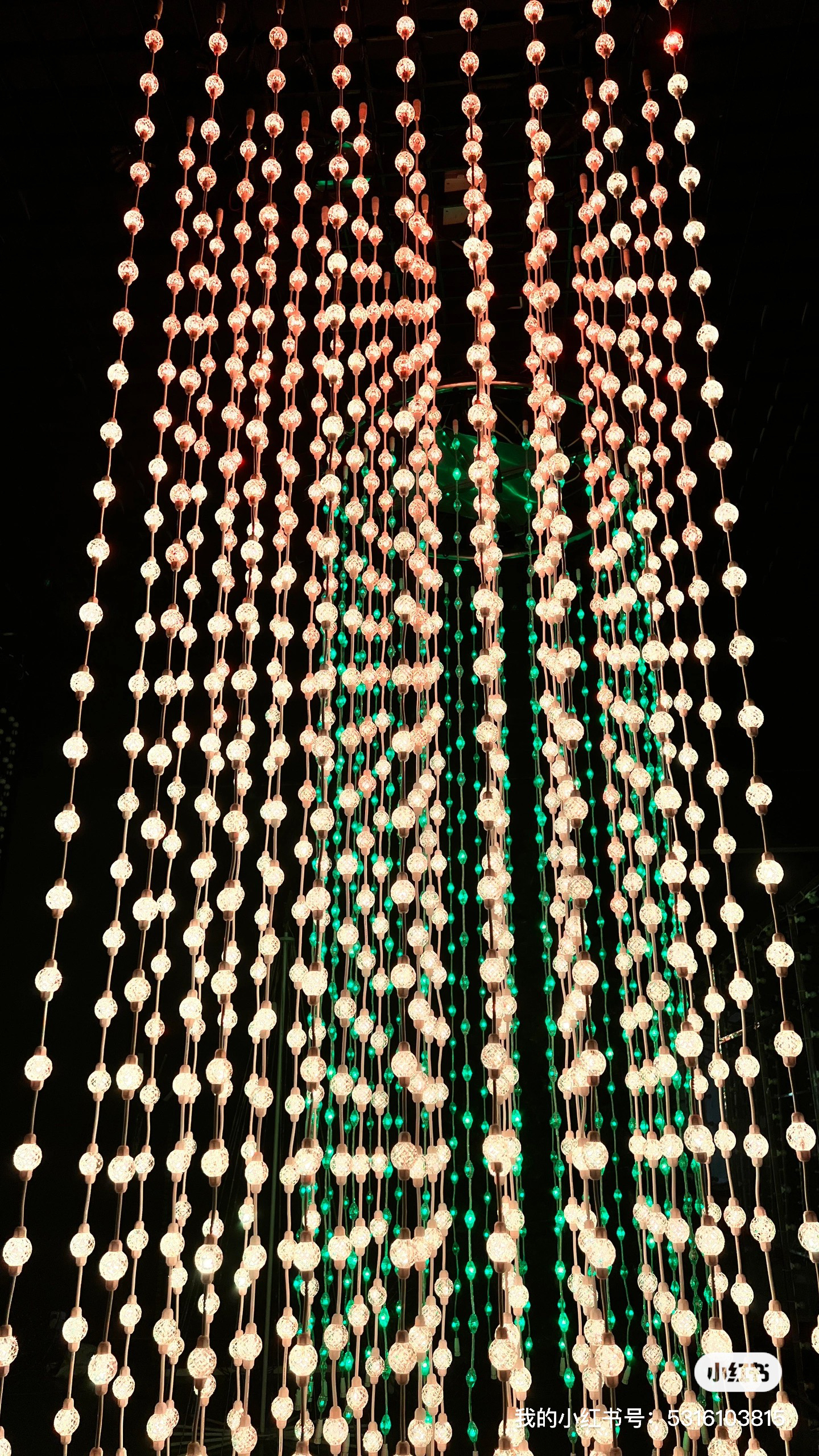 Go camping together，