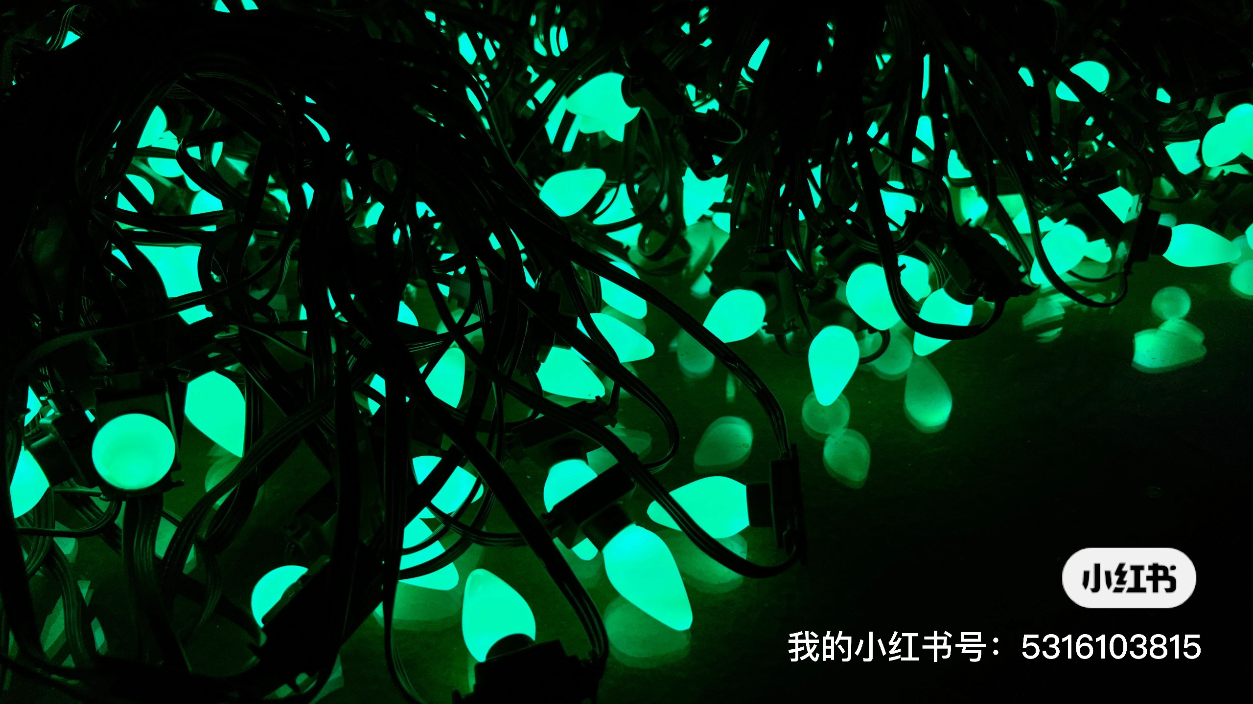 Go camping together，