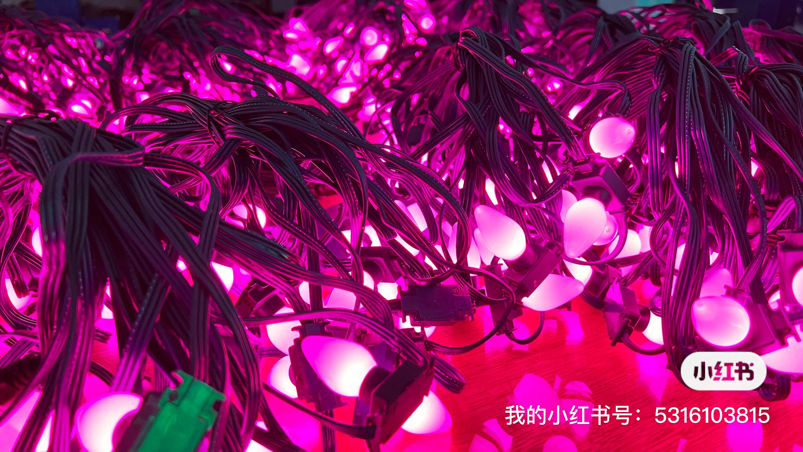 Go camping together，