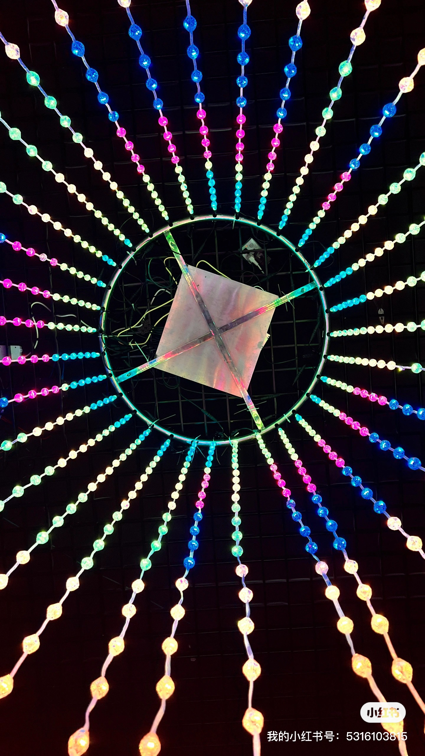 Go camping together，