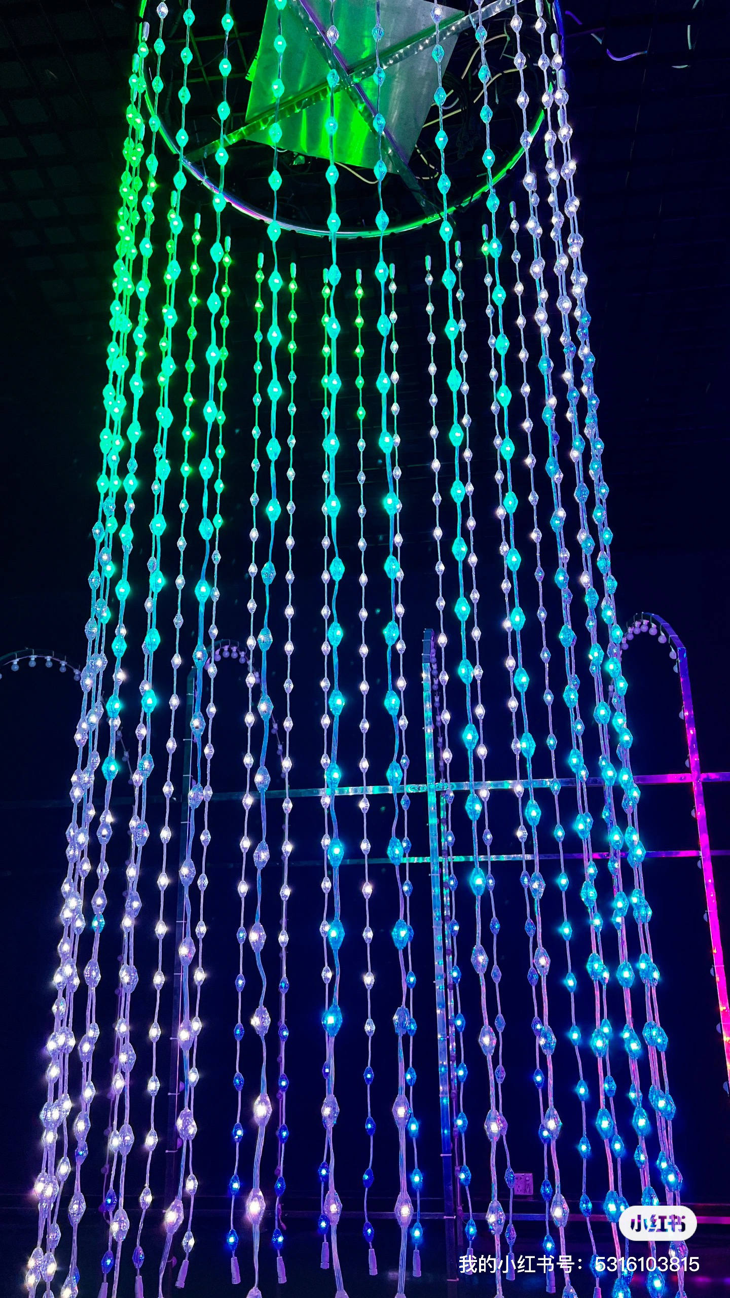 Go camping together，